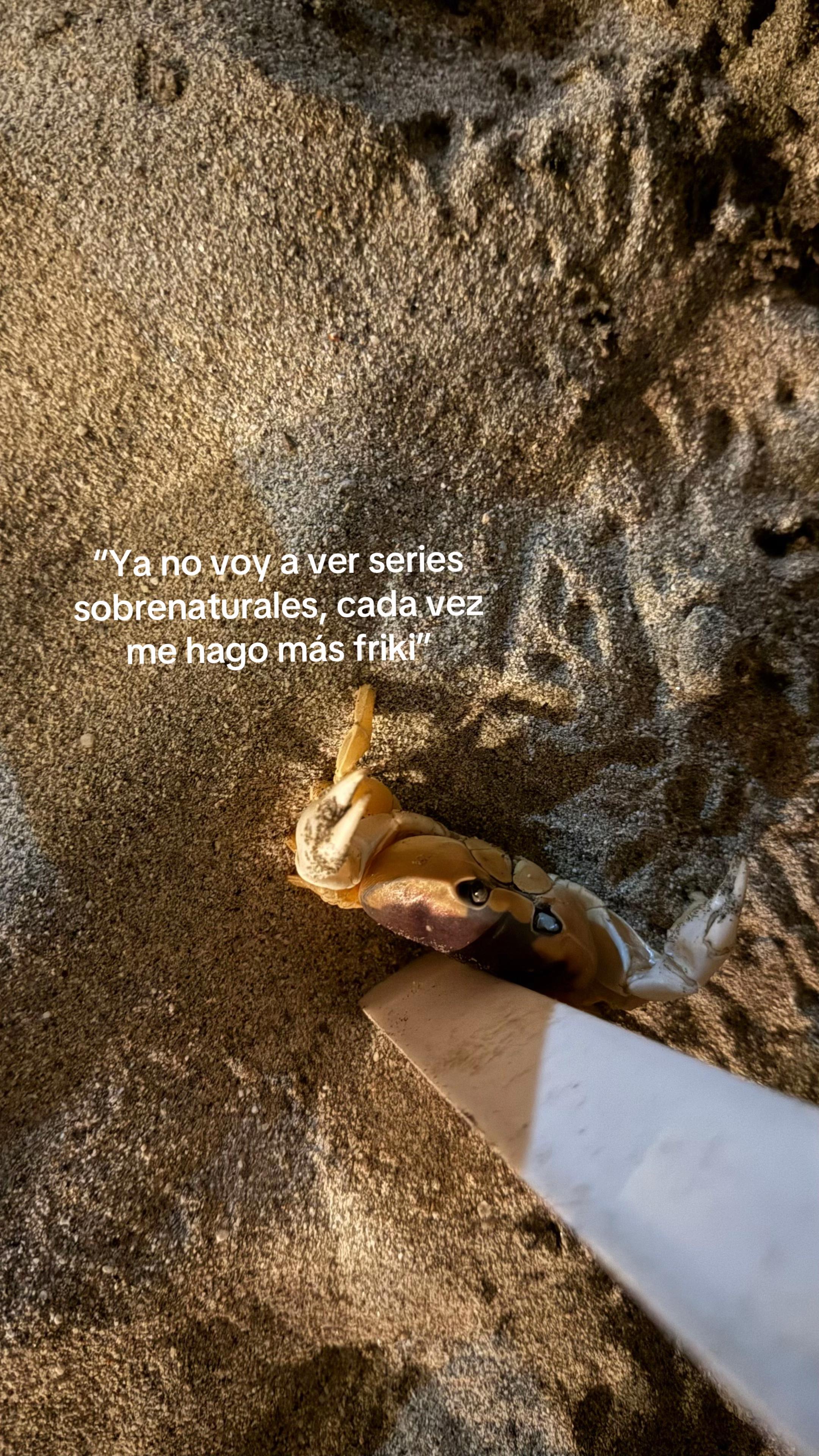 @𝓟𝓪𝓾 𝓥𝓮𝓻𝓪