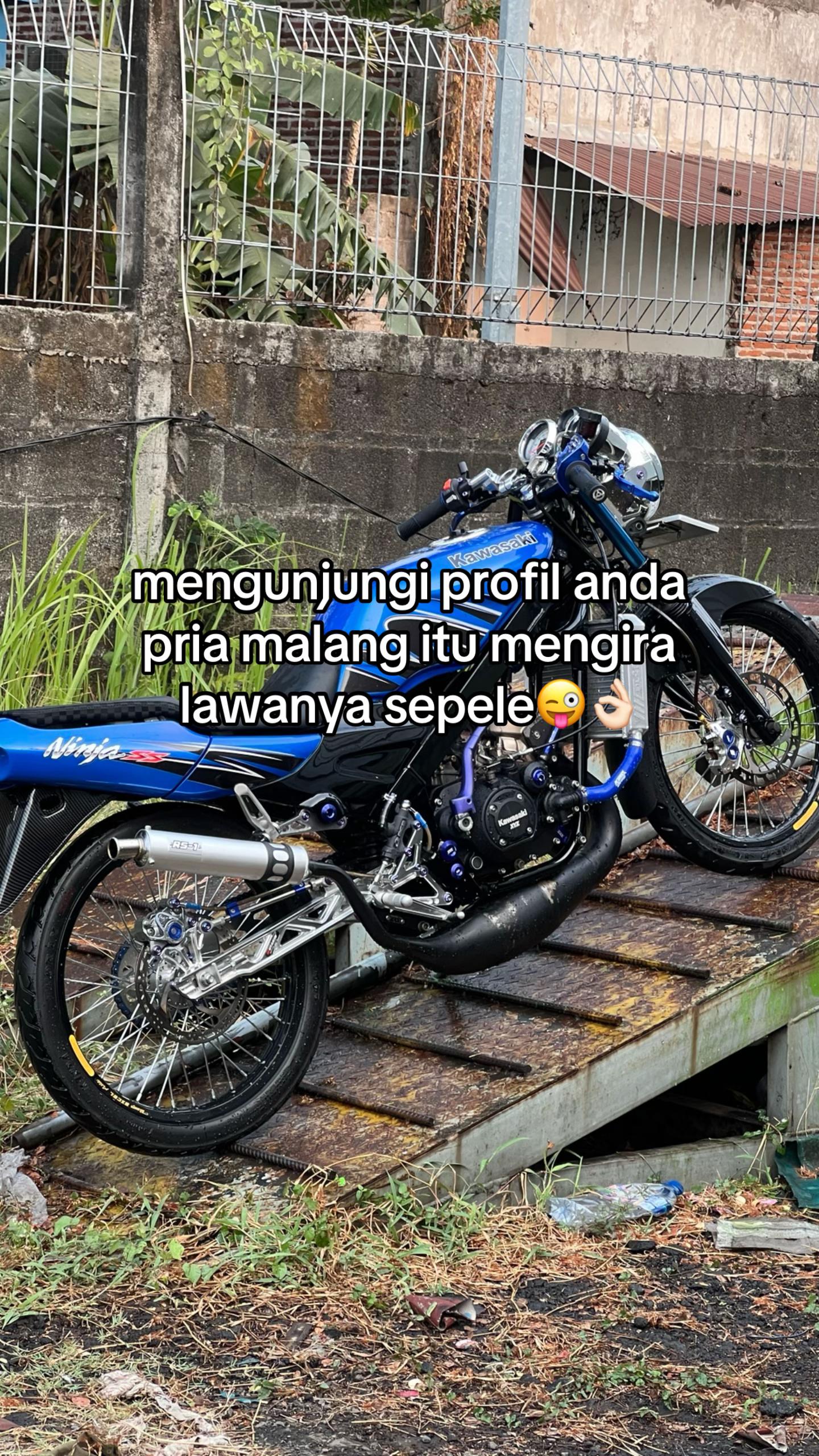 @alif_mdf