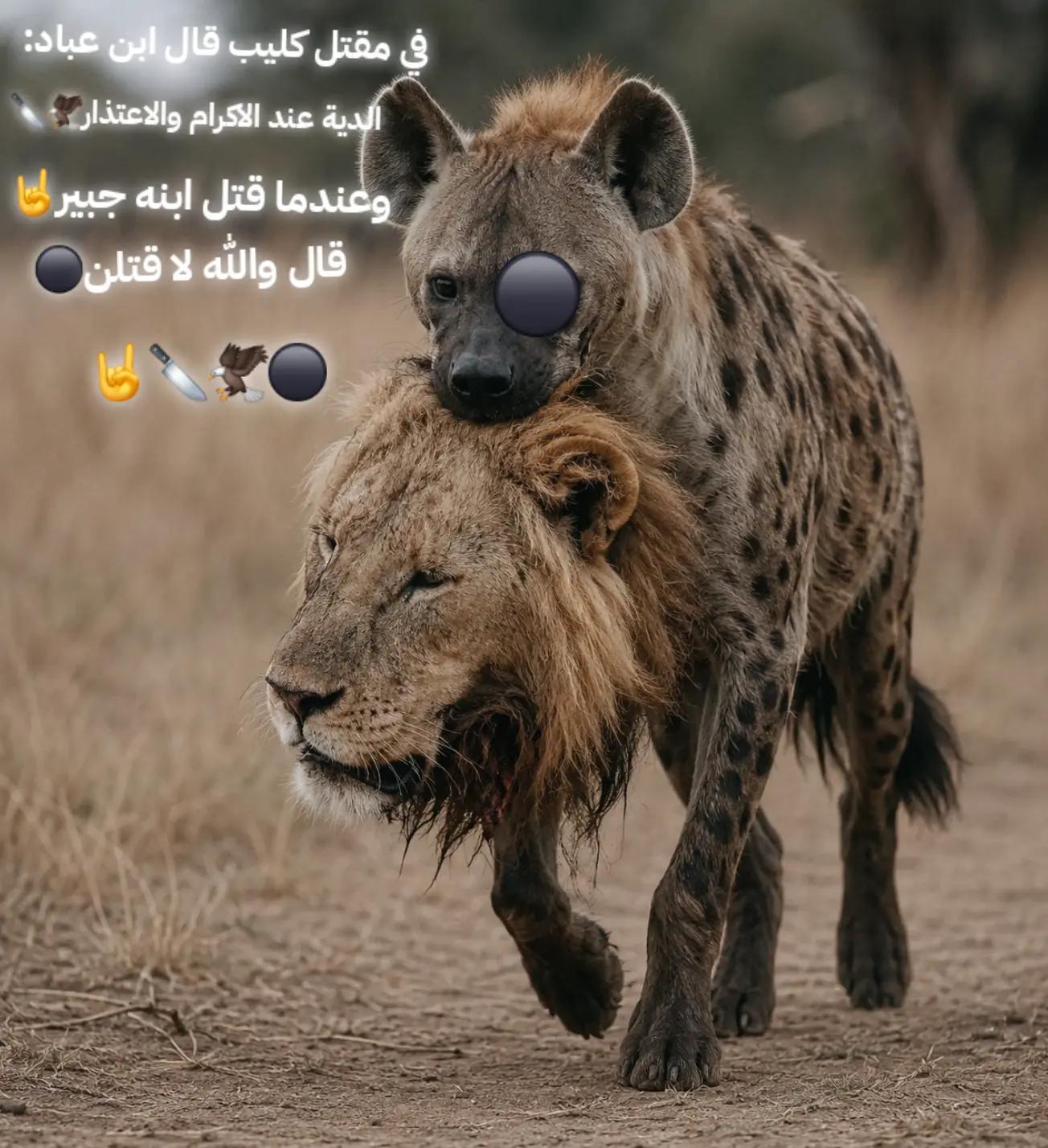 @N⚔️🦅BOM