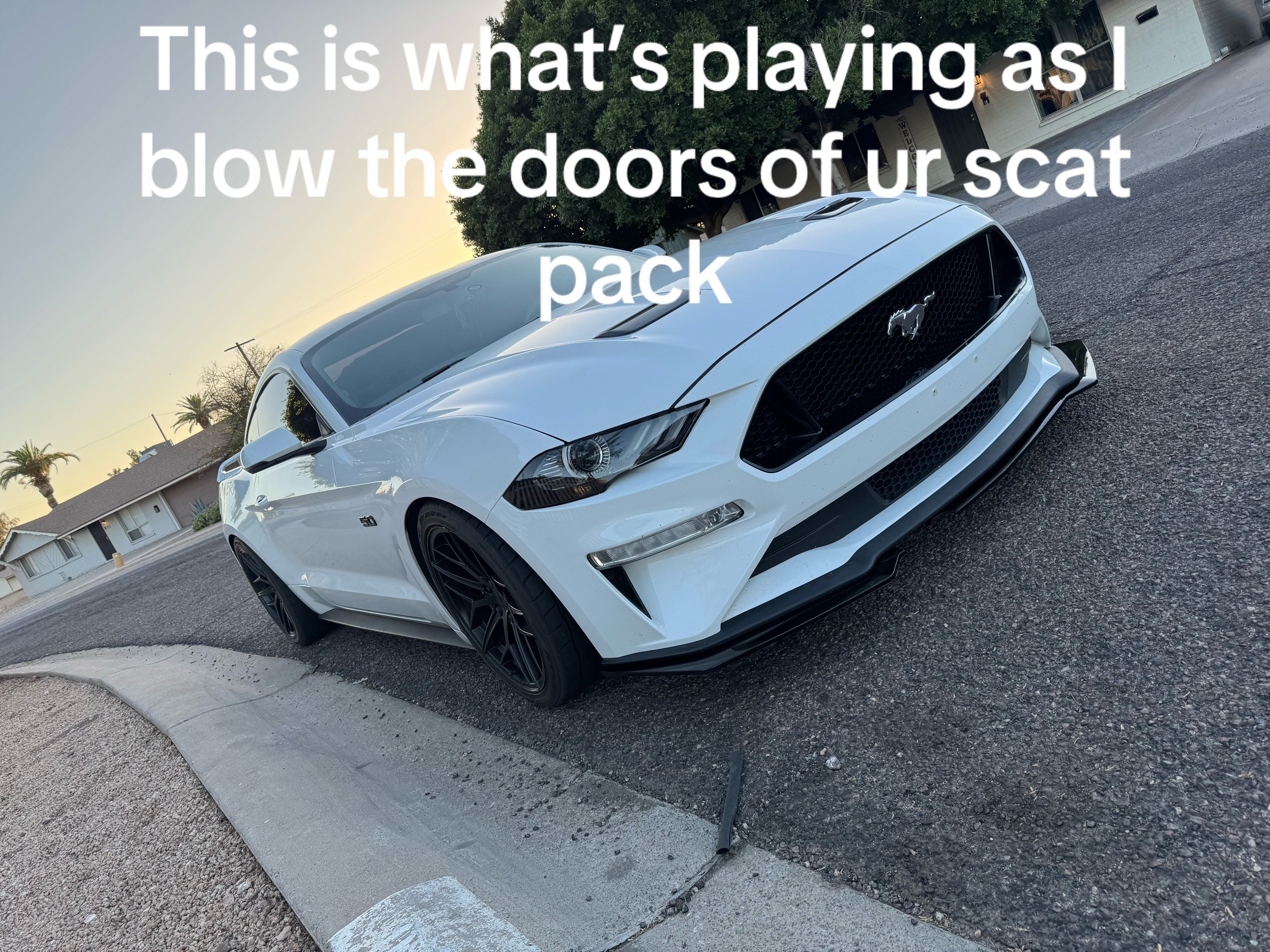 @5.0 Snowyy
