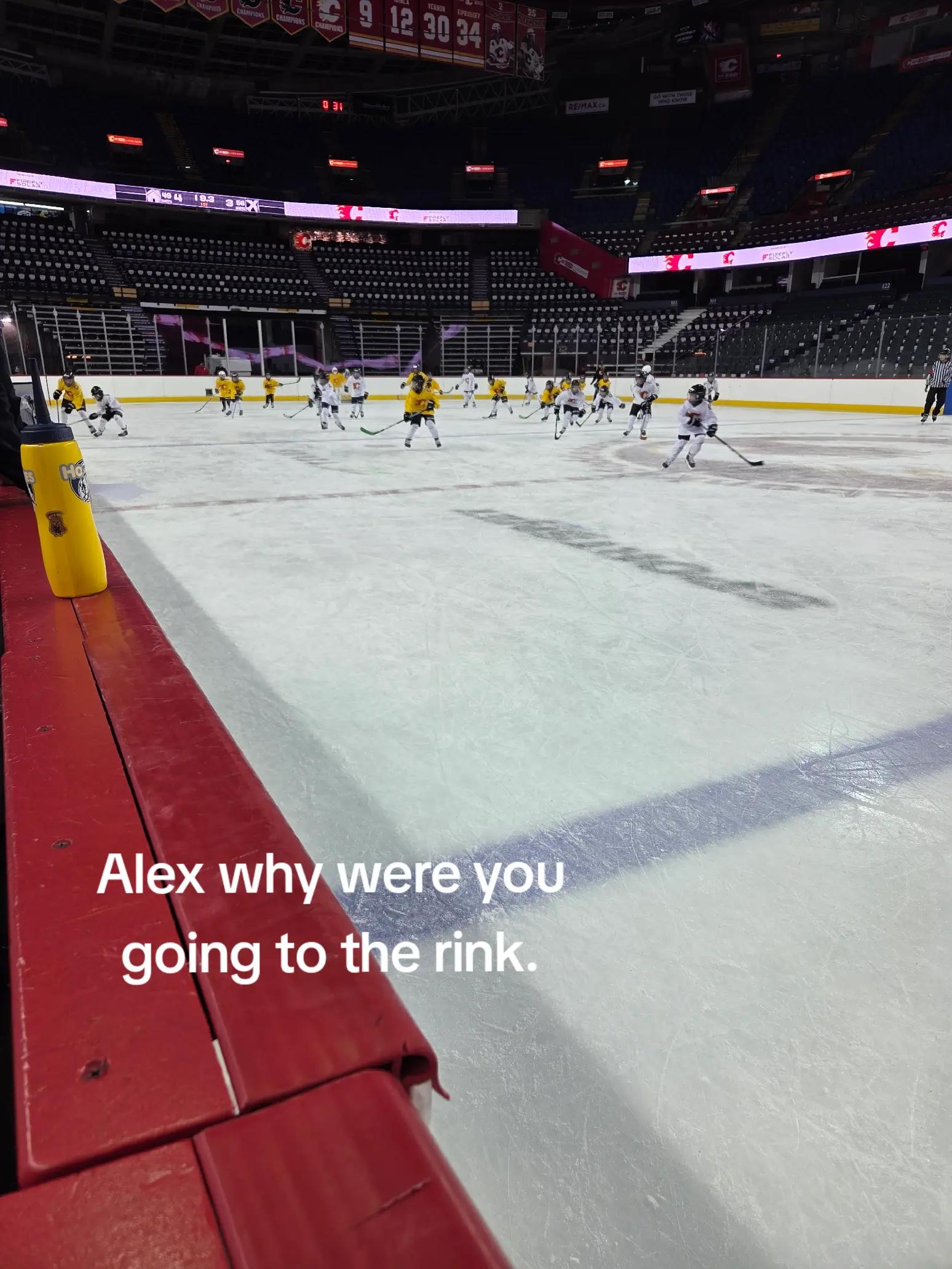 @tiktokgoalie 2.0