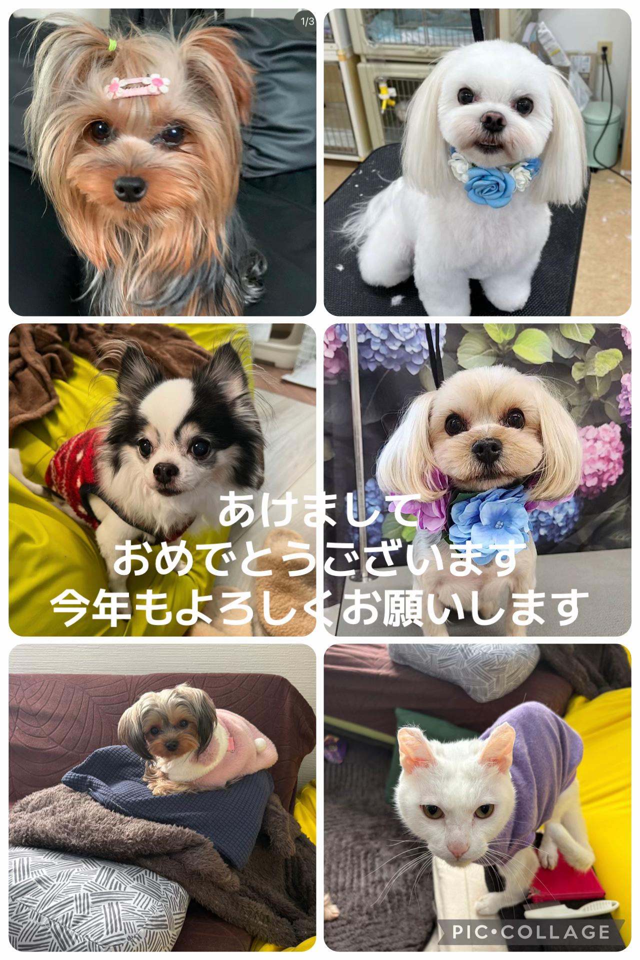 @ビビまるトンチャー