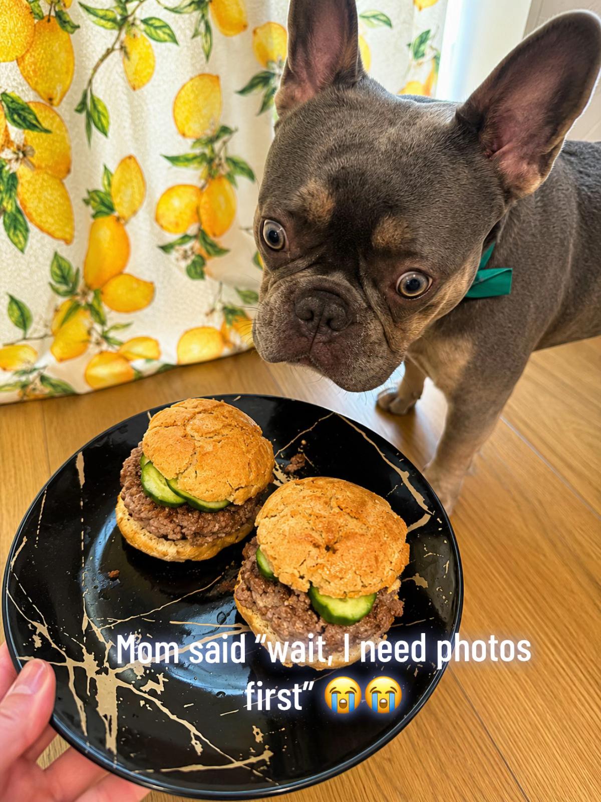 @Diablo the frenchie