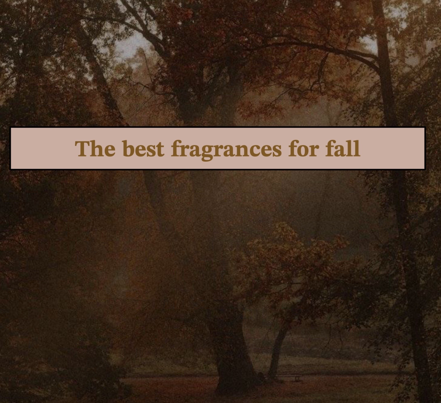 @gardenfragrances