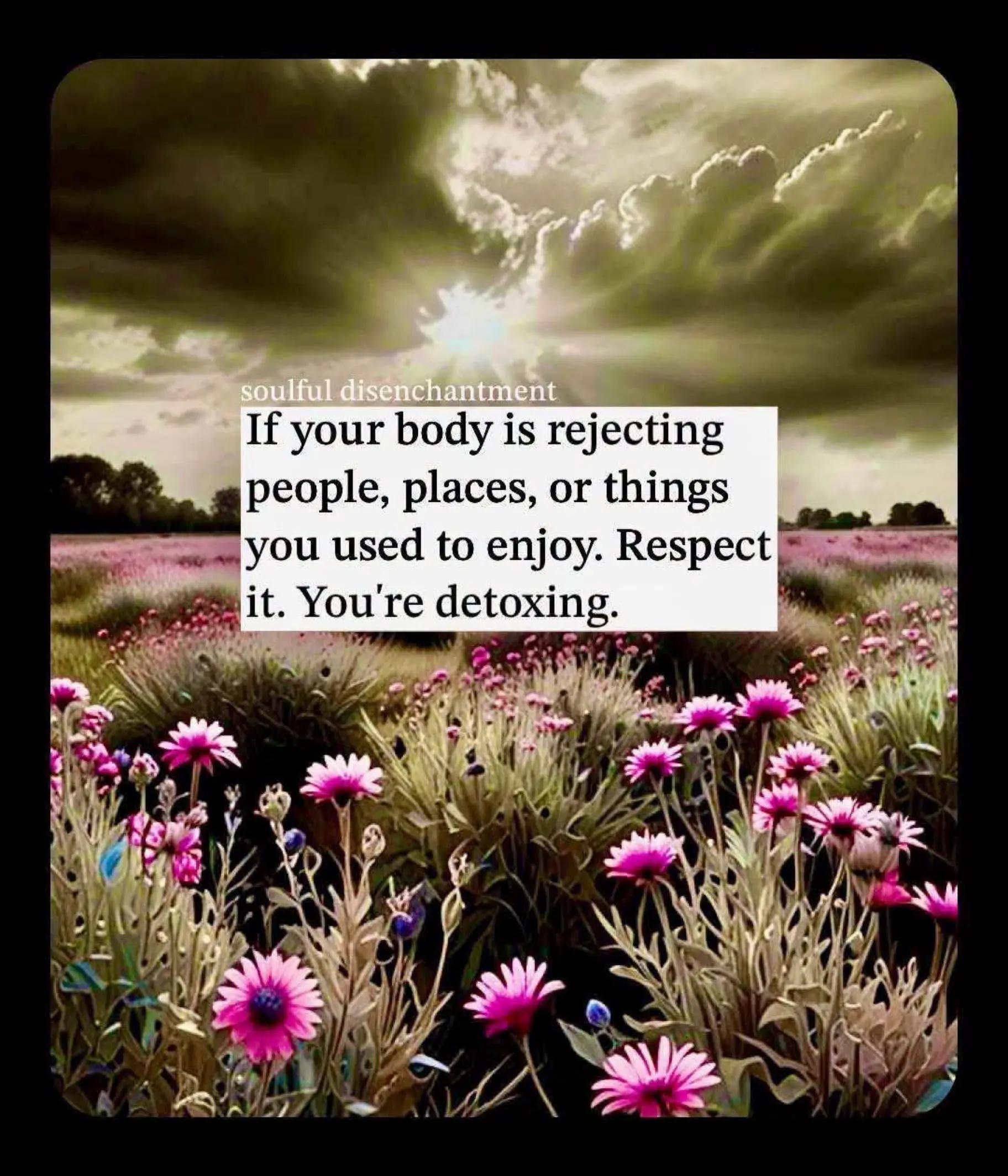 @Get Electrafied