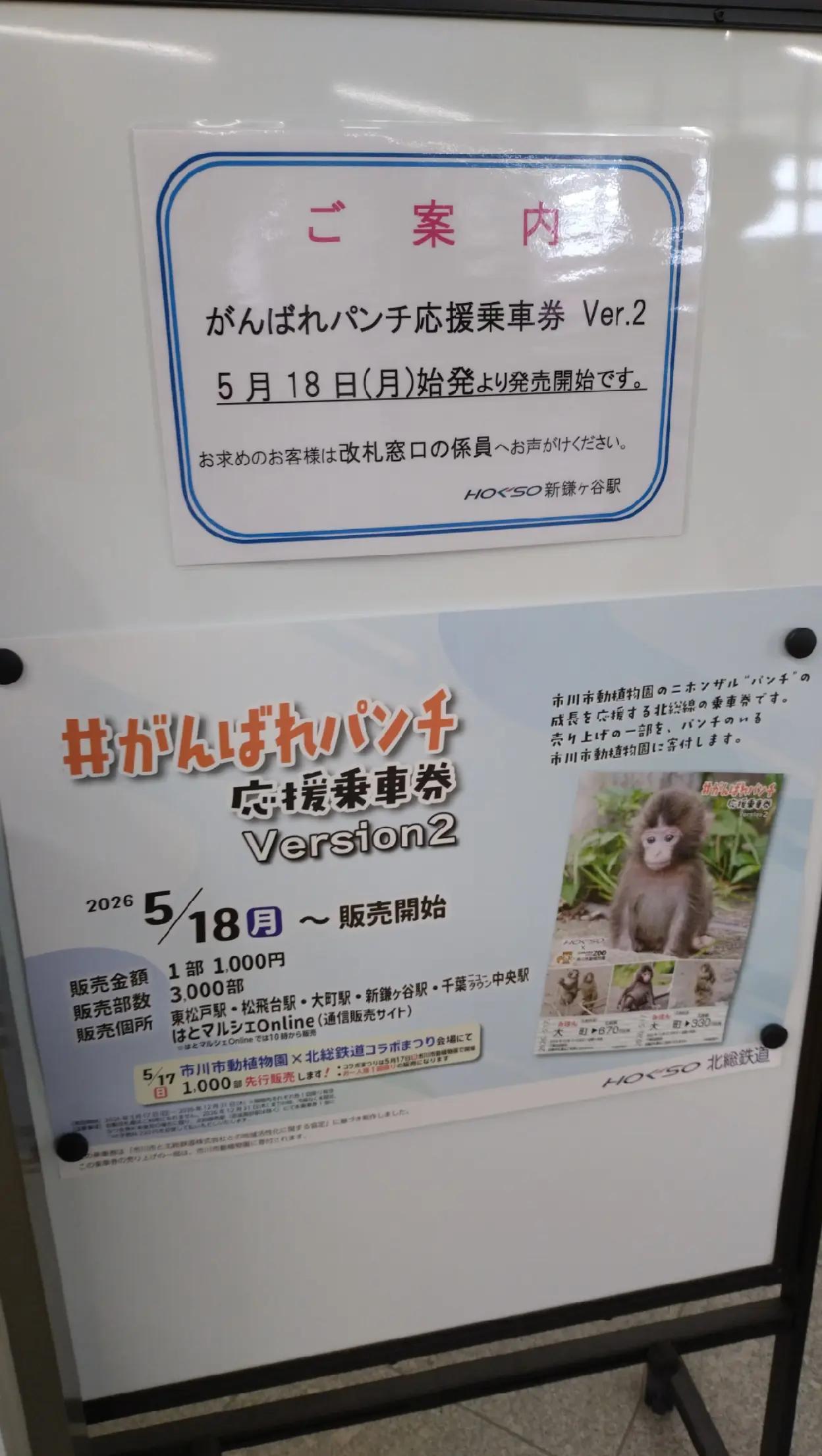@ミイチッチ🍎🍊🍋🍈🍑🍇🥥