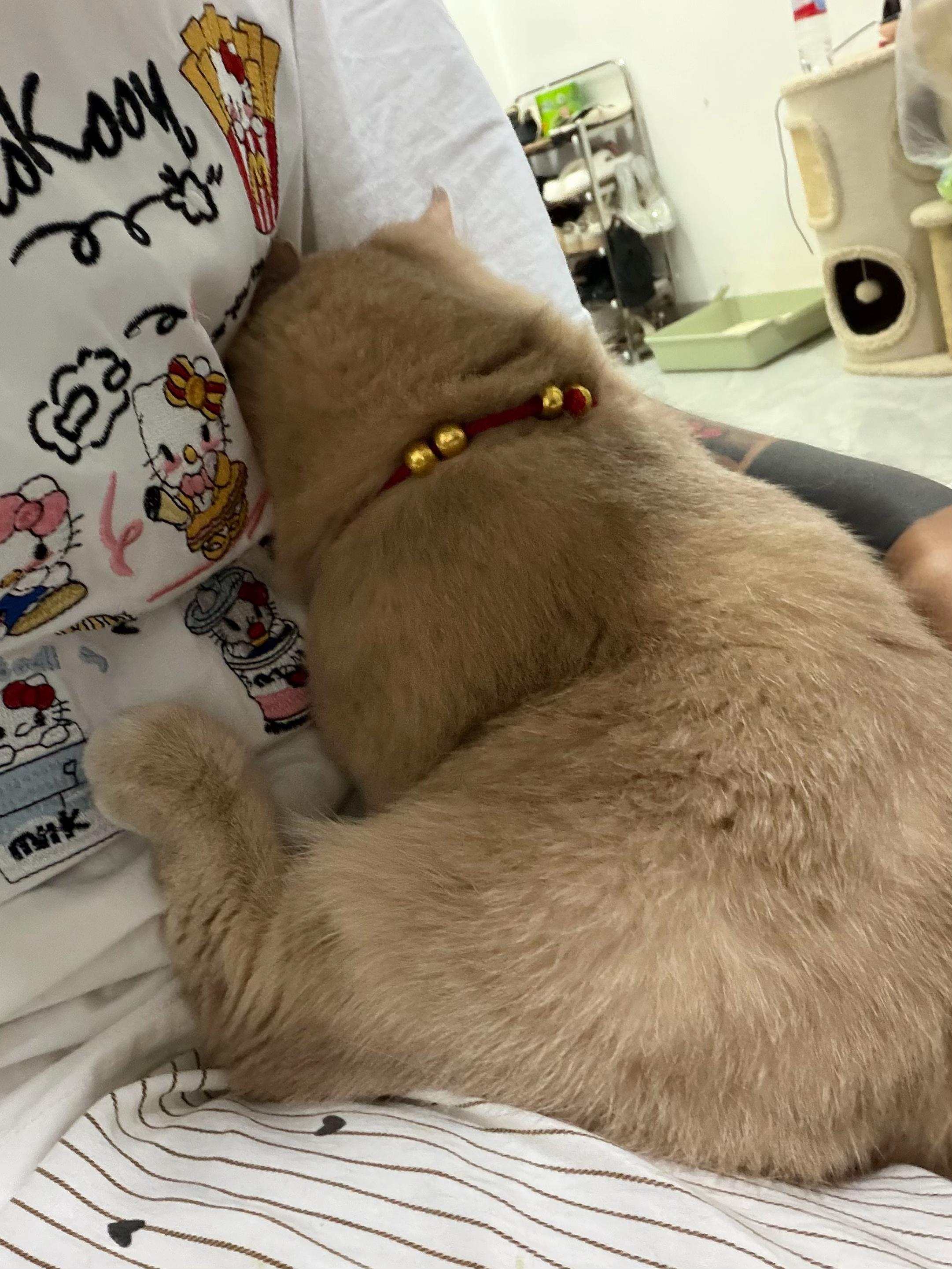 @H🧸