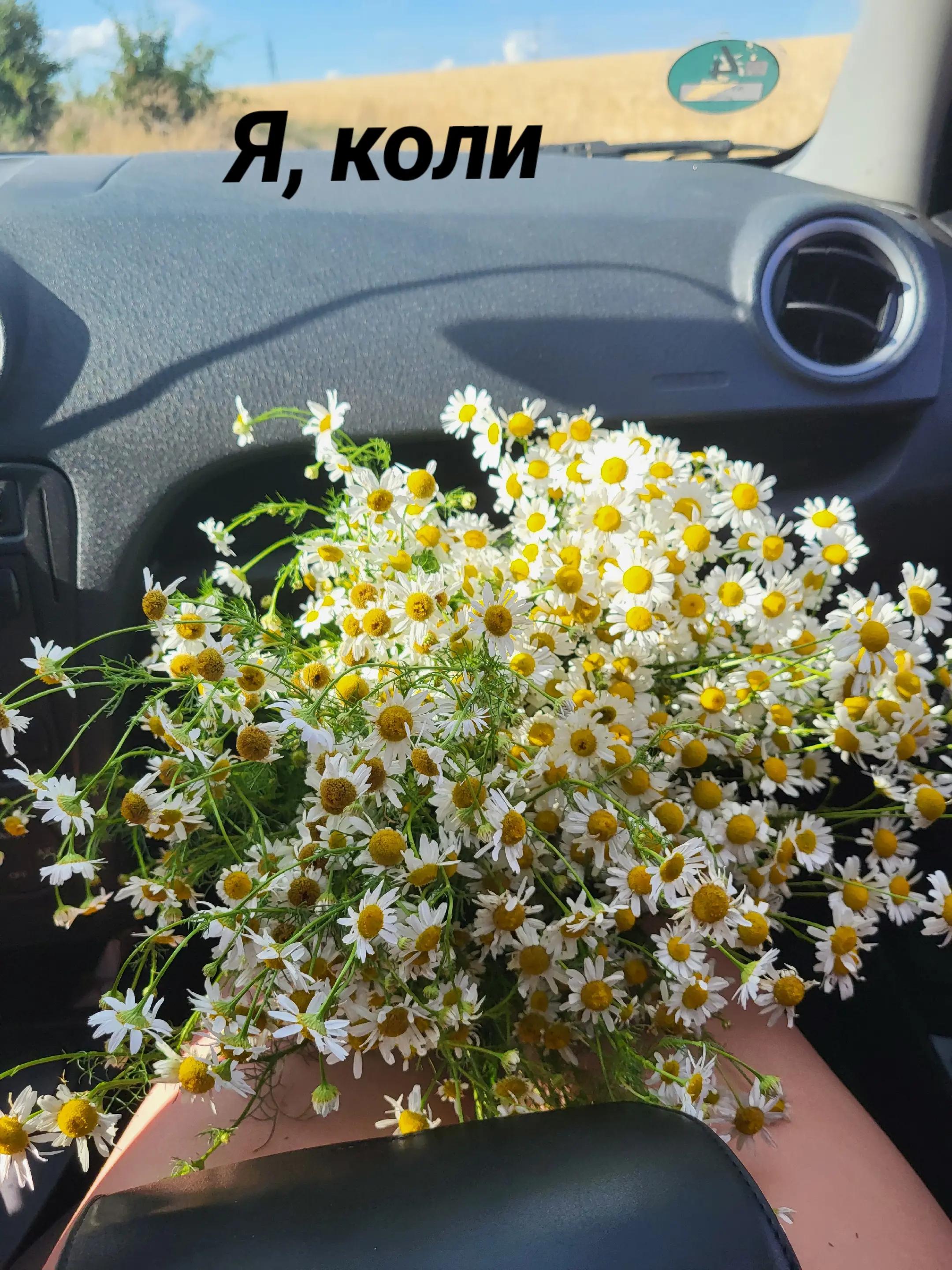 @꧁༒ Вікторія ༒꧂