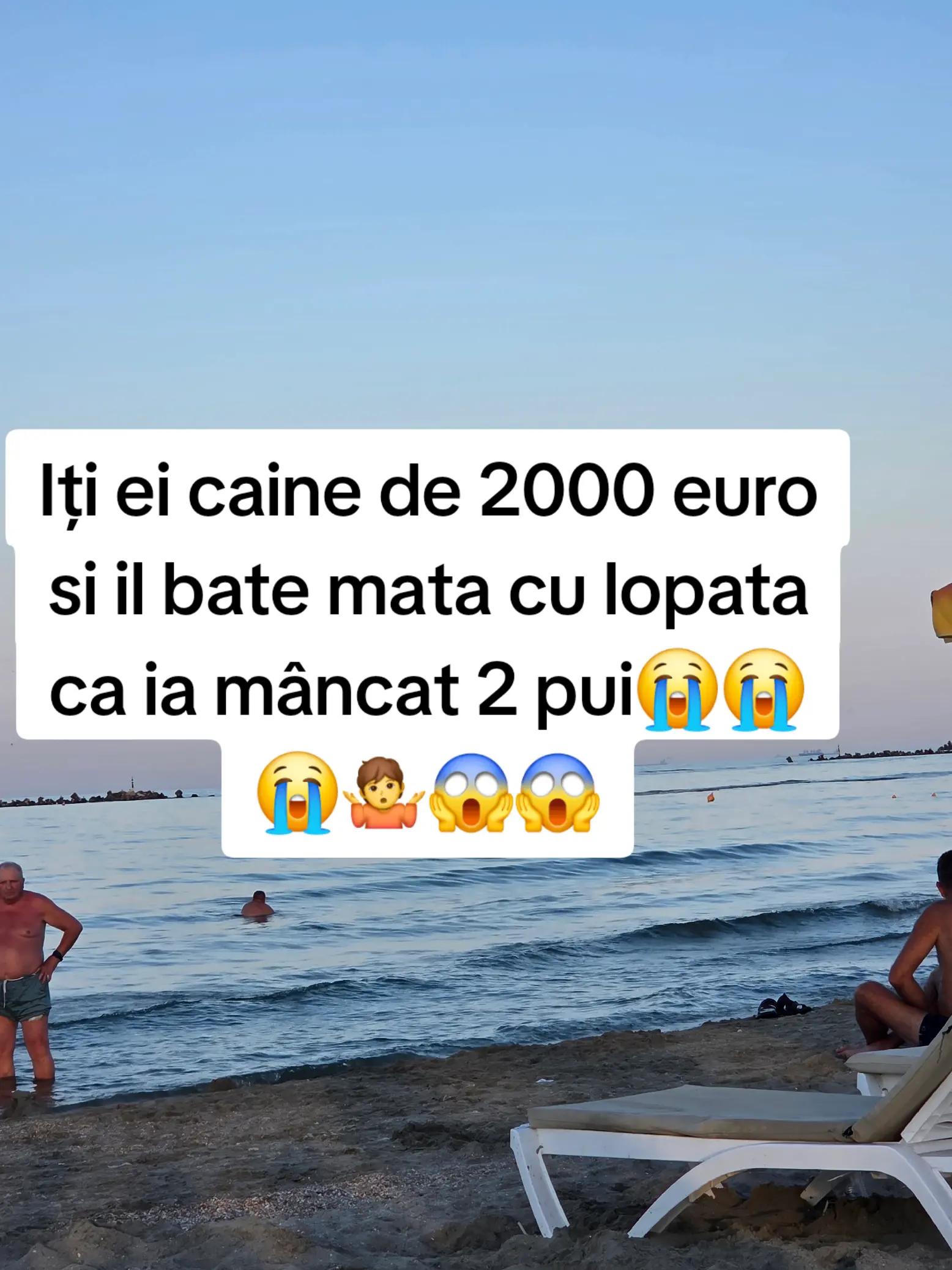 @Irimia Vasilică