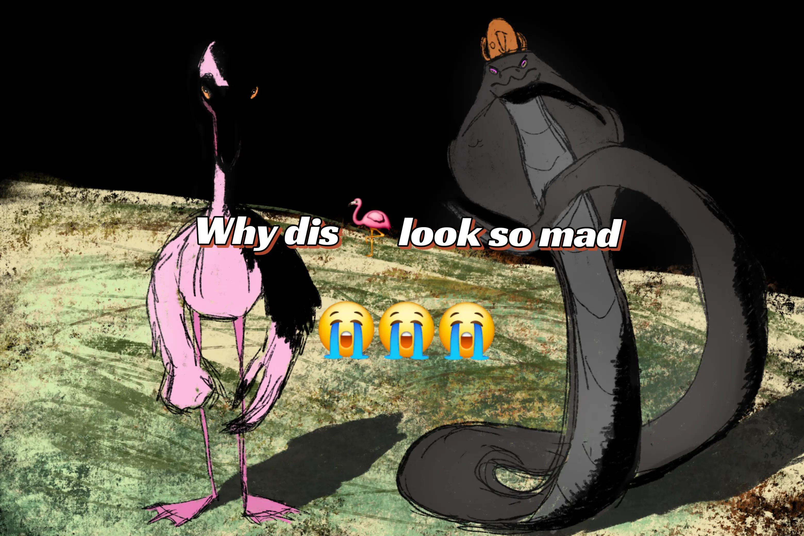 @opokabe