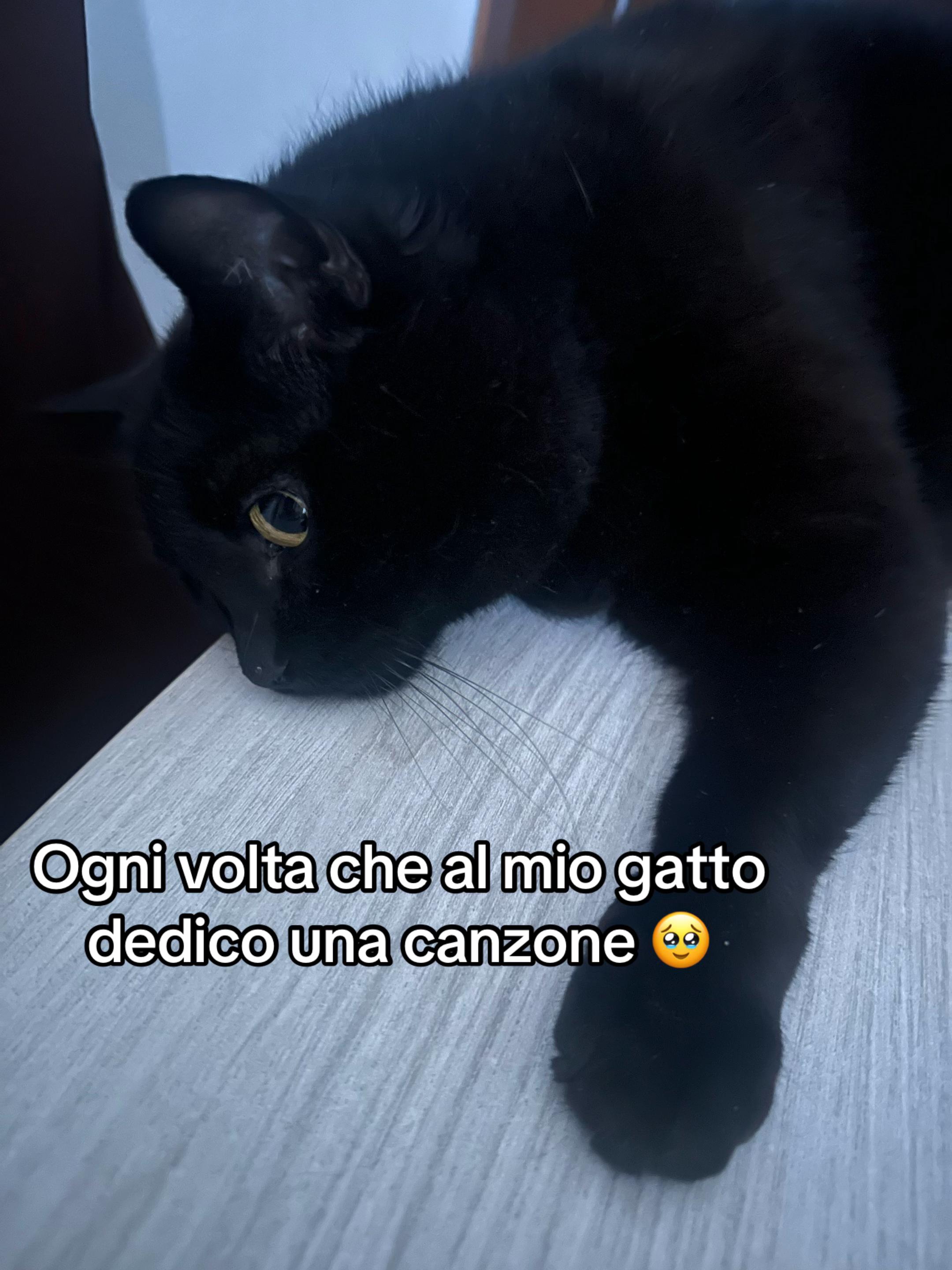 @Francimar