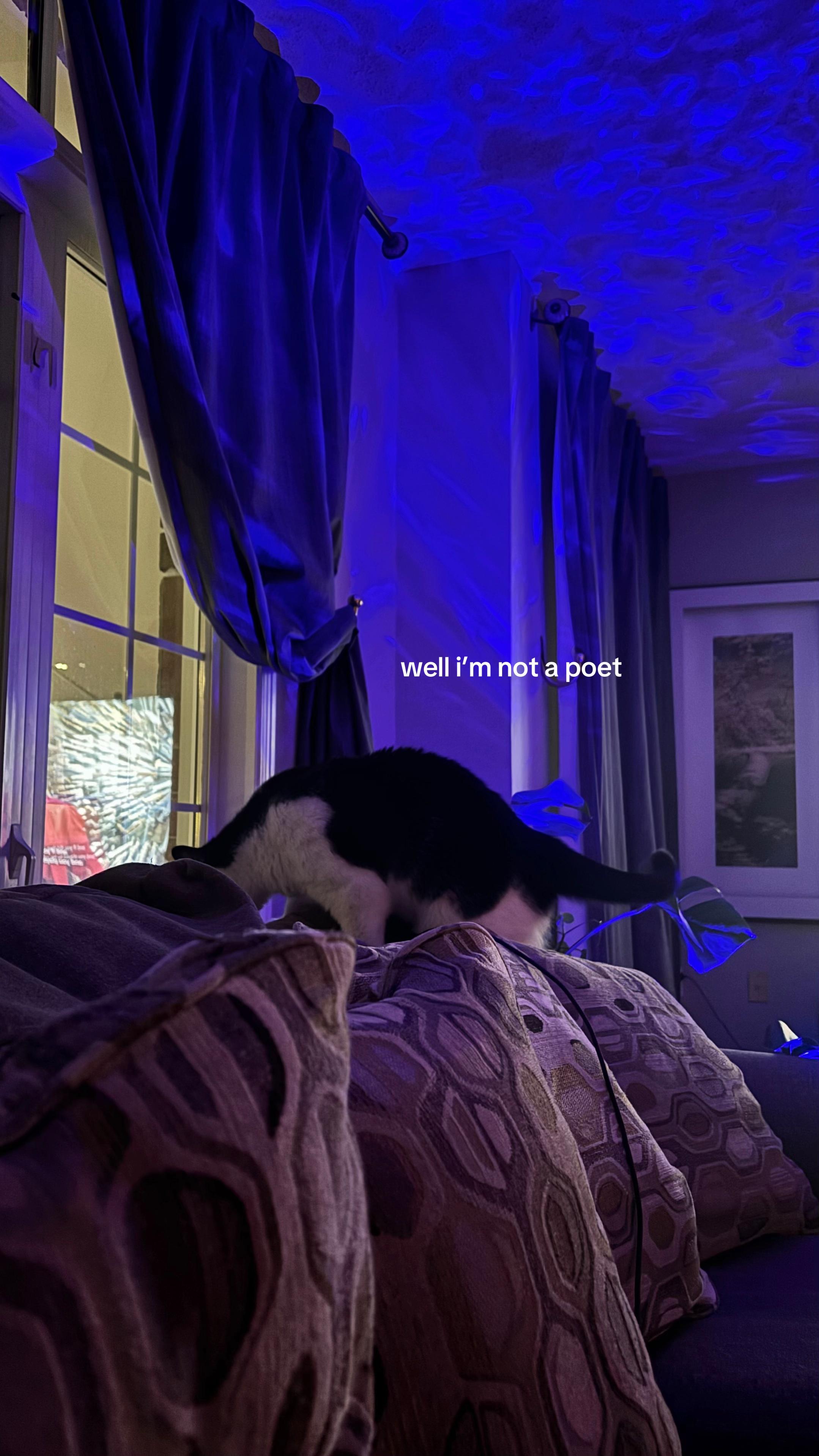 @mia villa