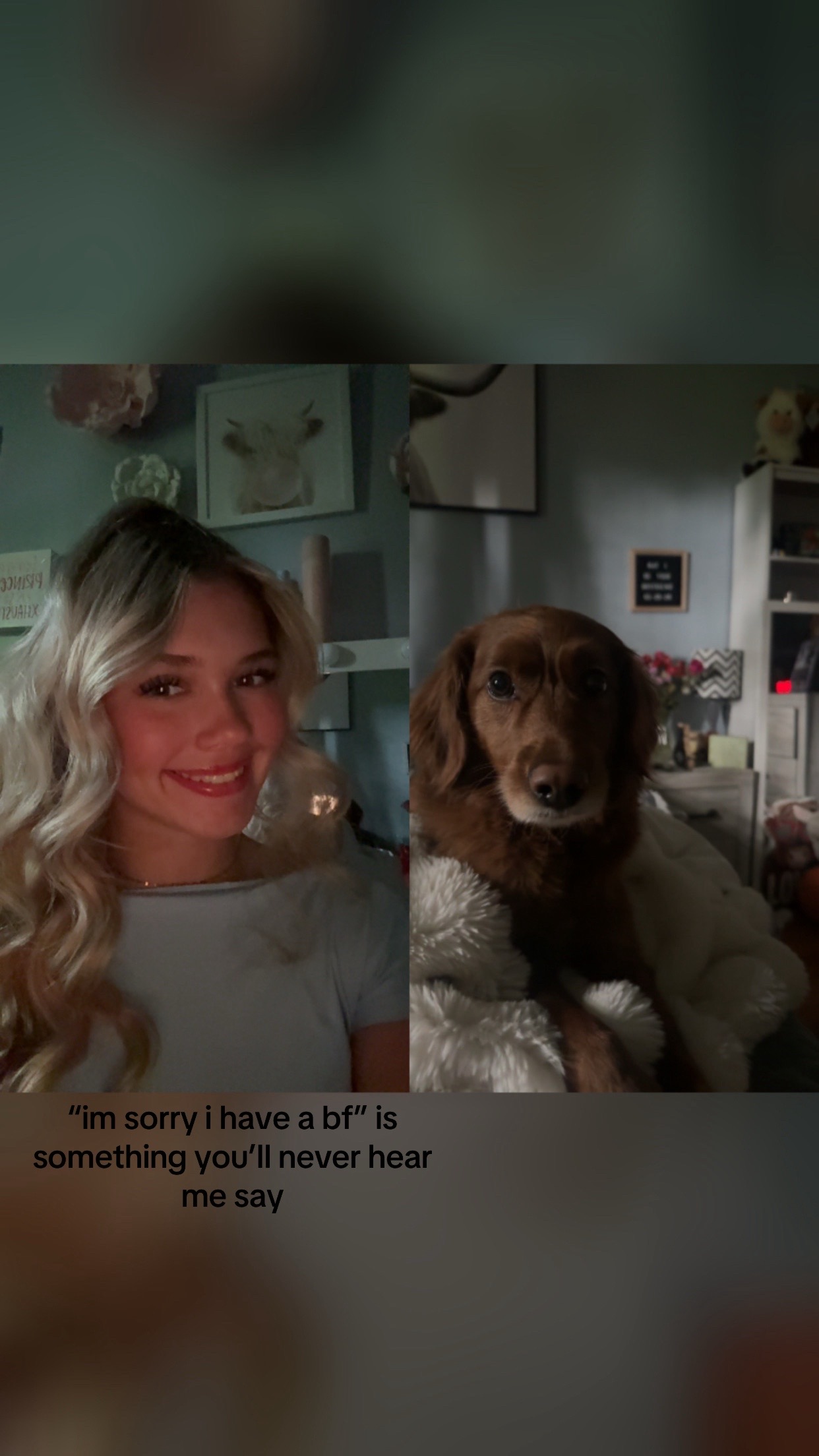 @User41