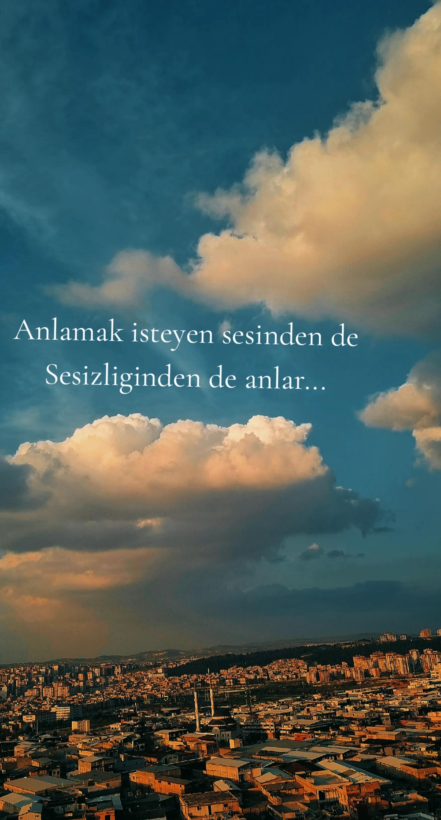 @sevdam⚘sevdam