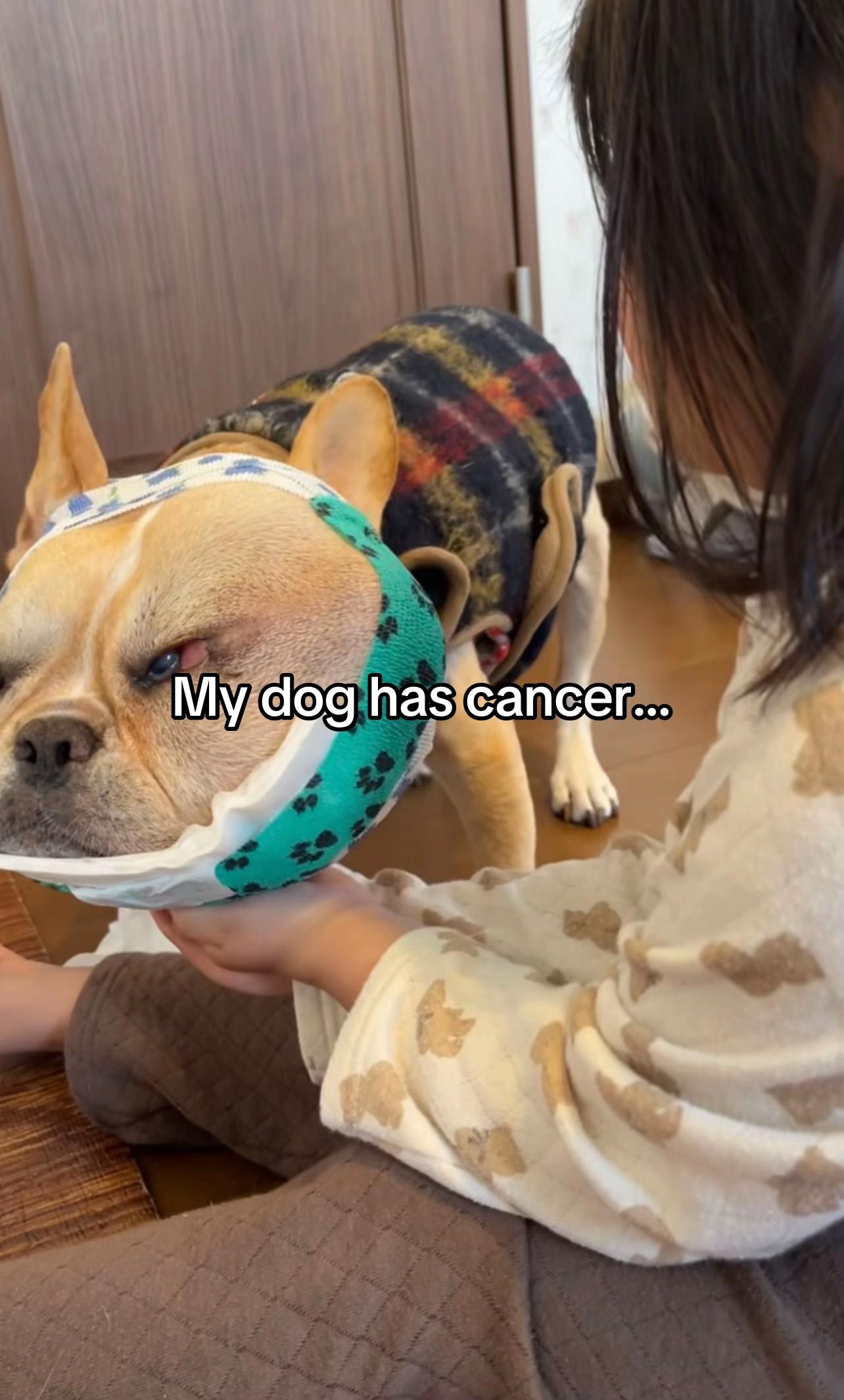 @Surgery for Lucy0