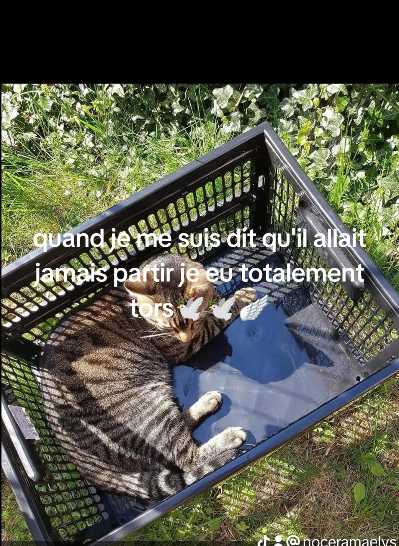 @Noemie Nocera