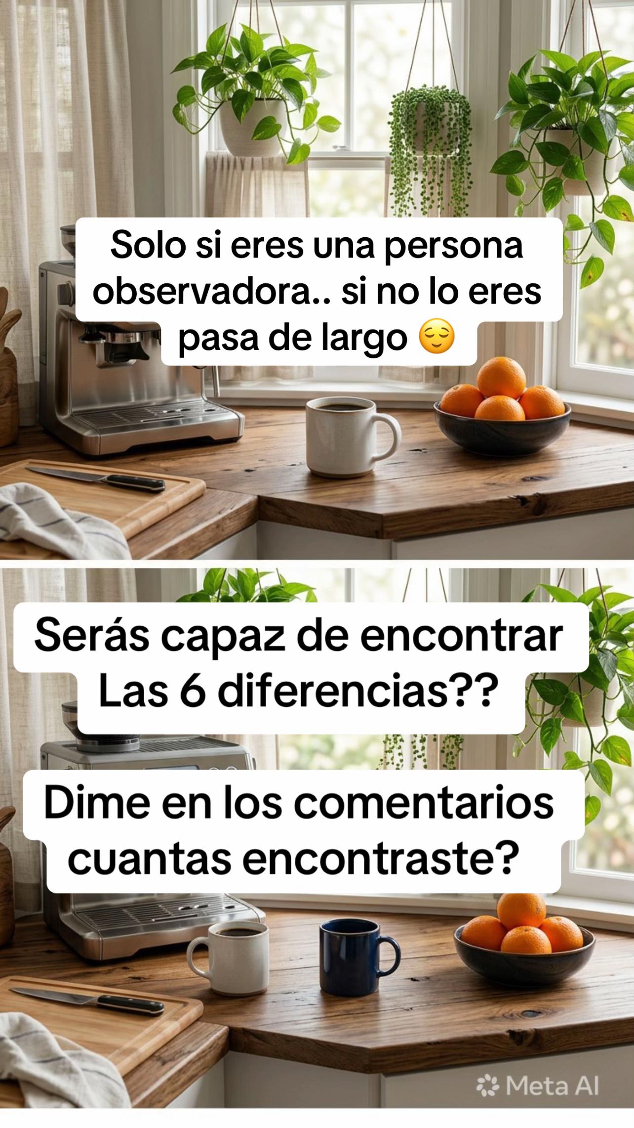 @guioca