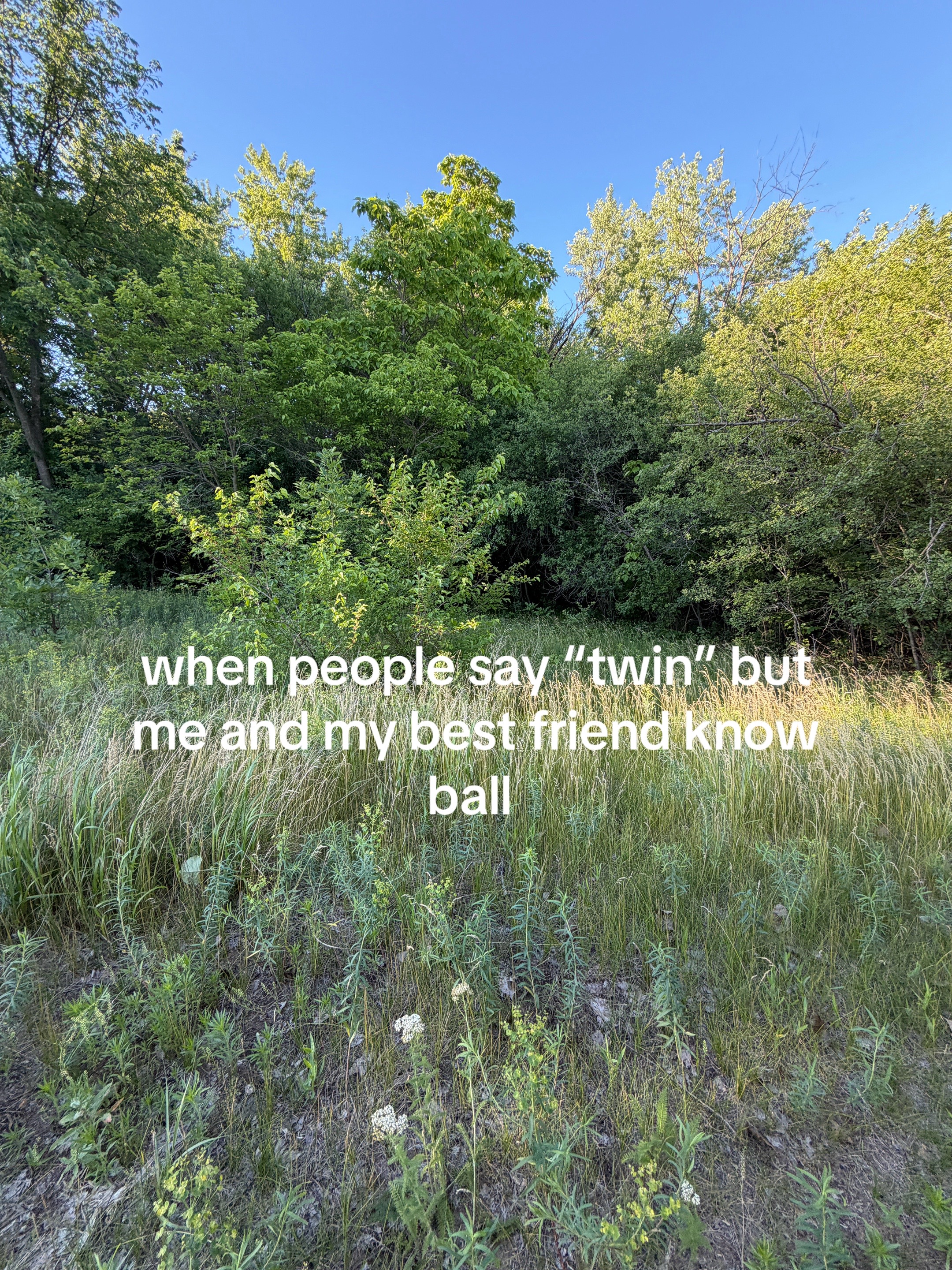 @av