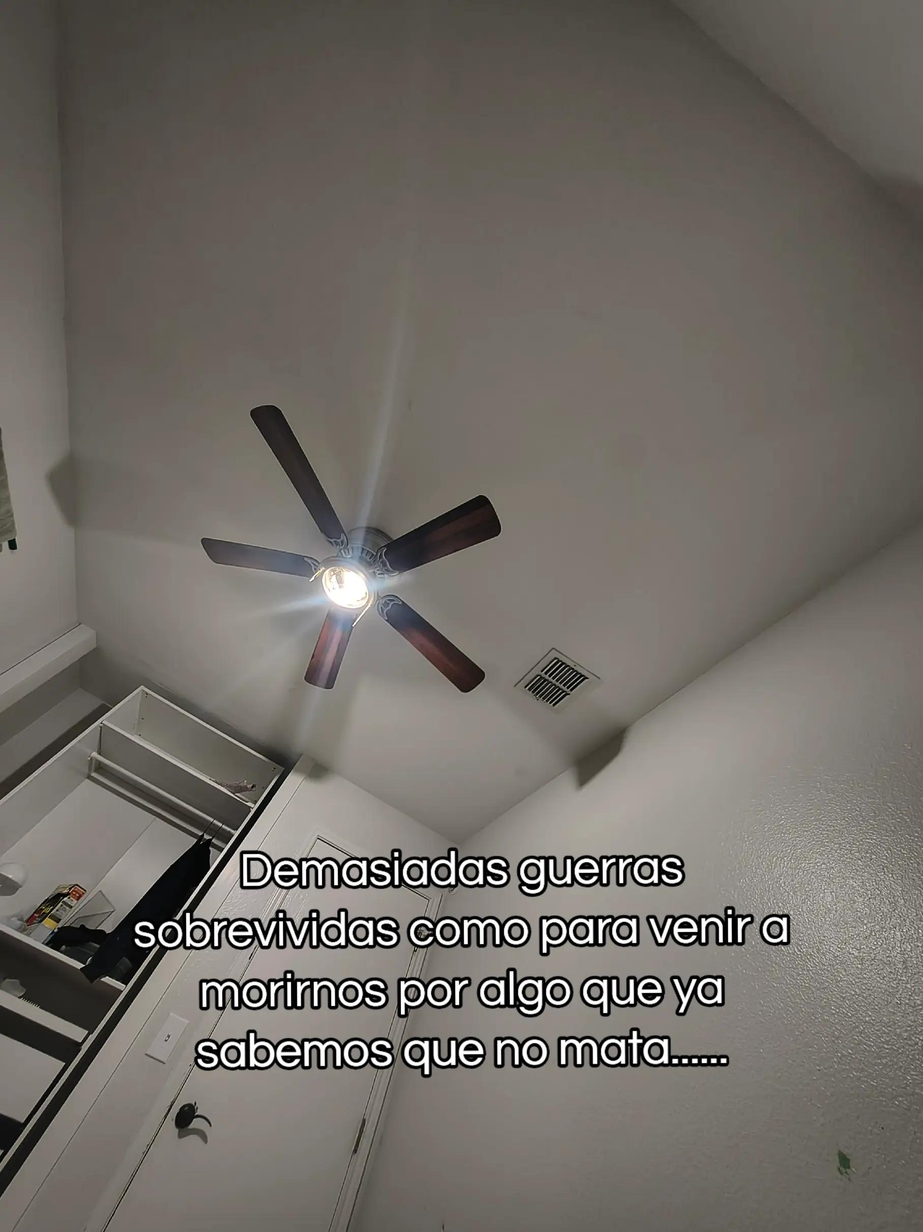 @Antonia Acosta