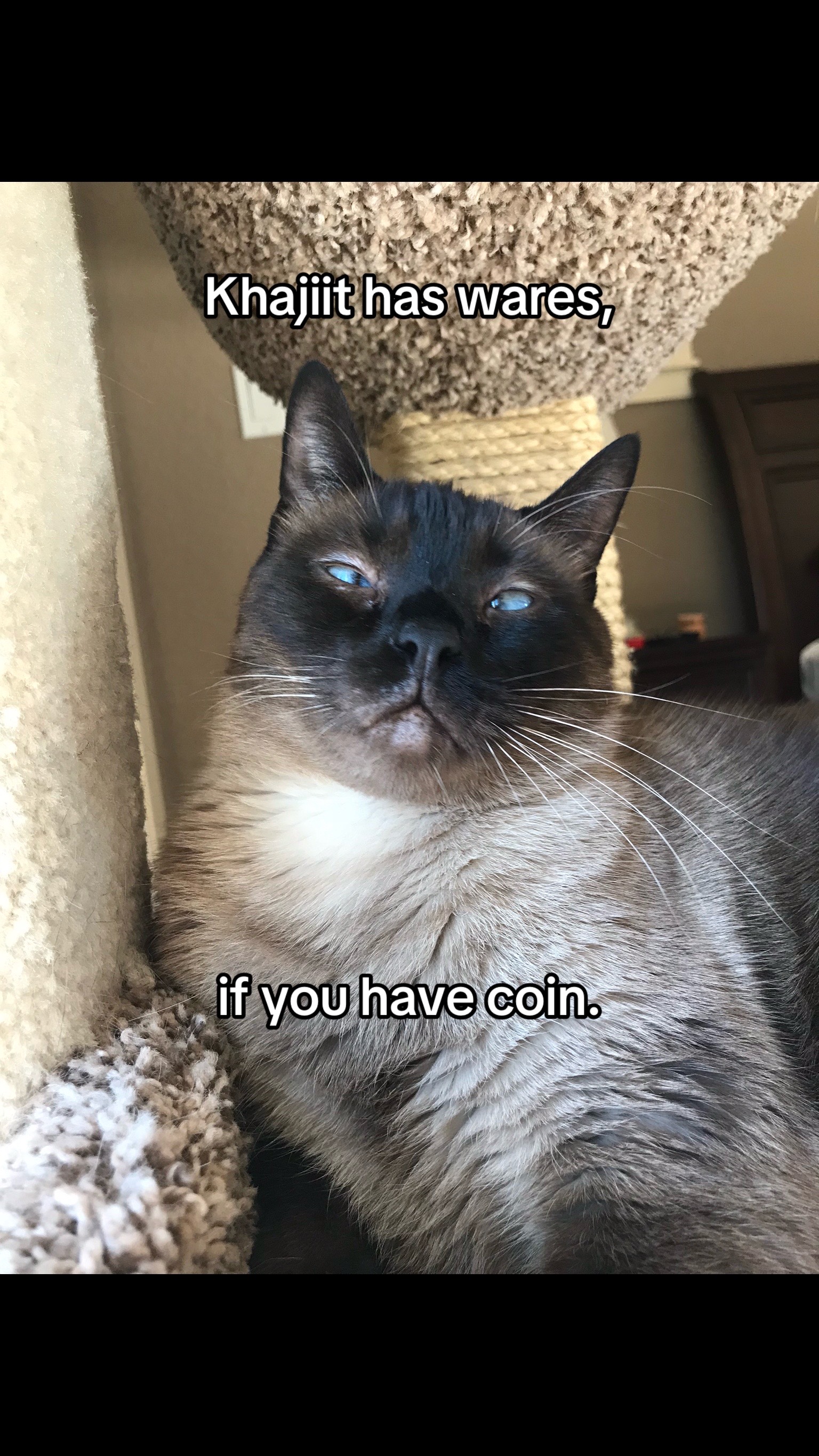 @Niki