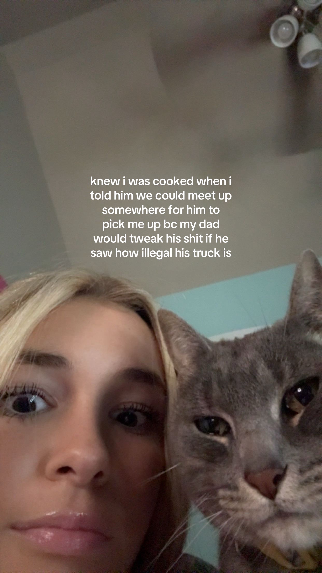 @taylorspamshella
