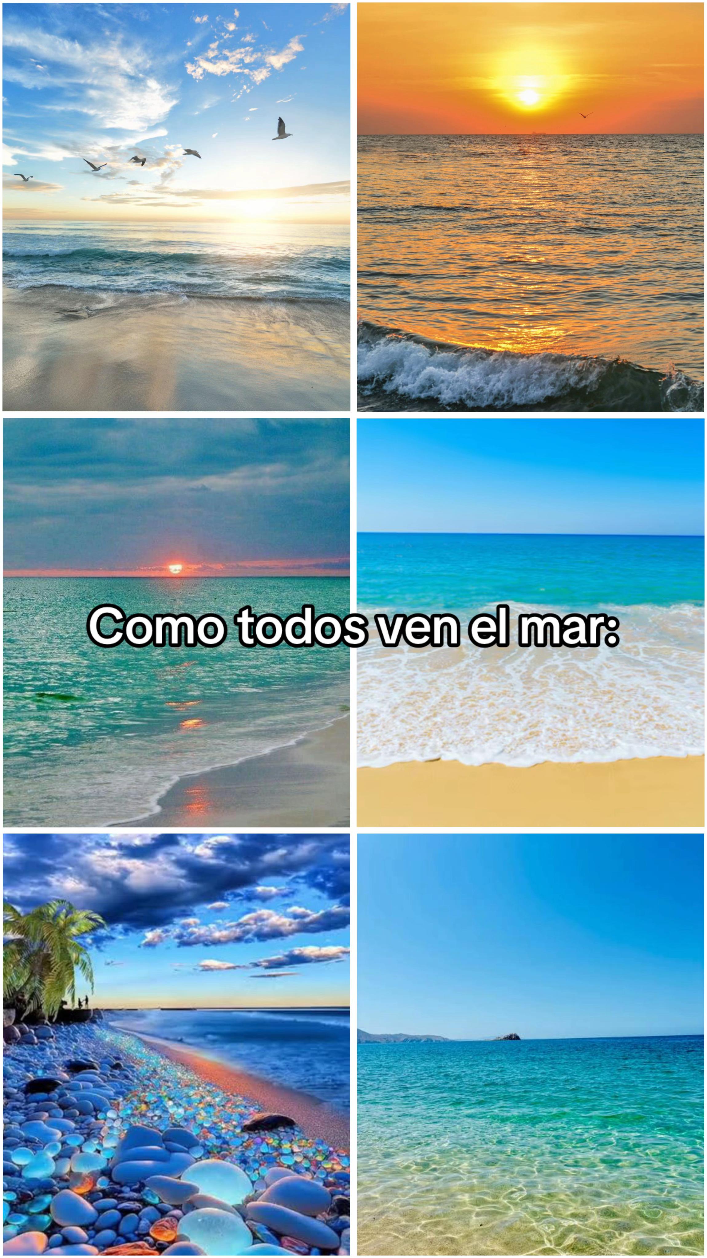 @oscarviena