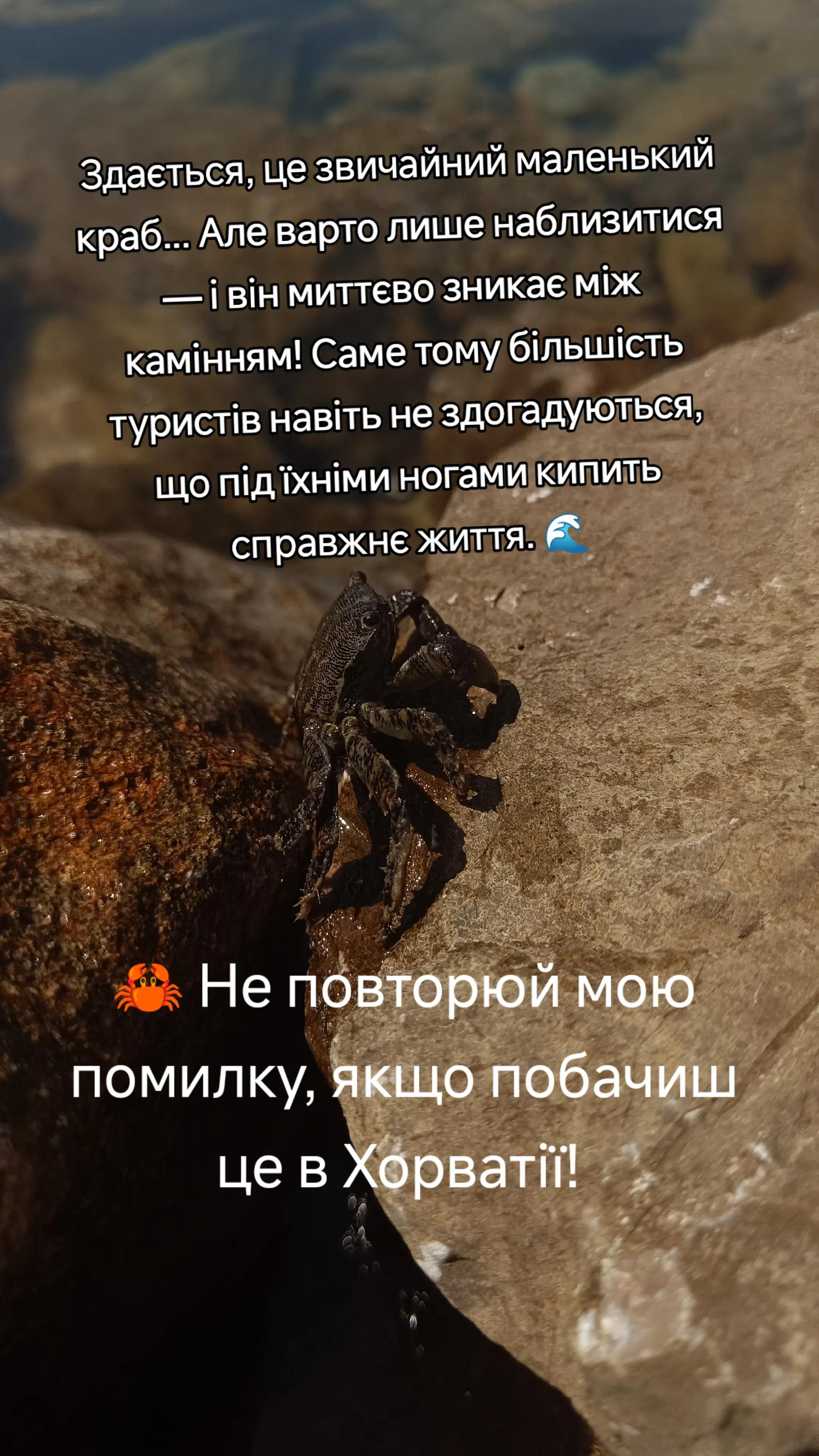 @viktoriahumenna