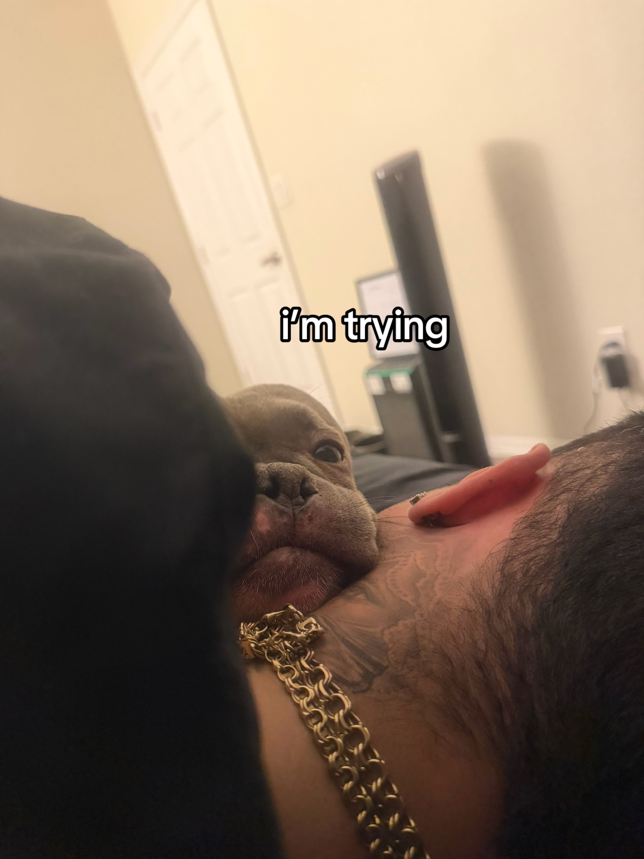 @daddy’s baby