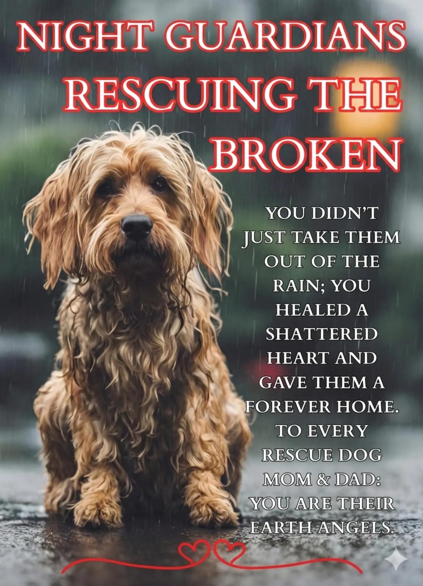 @Petscentralorg DLM Foundation