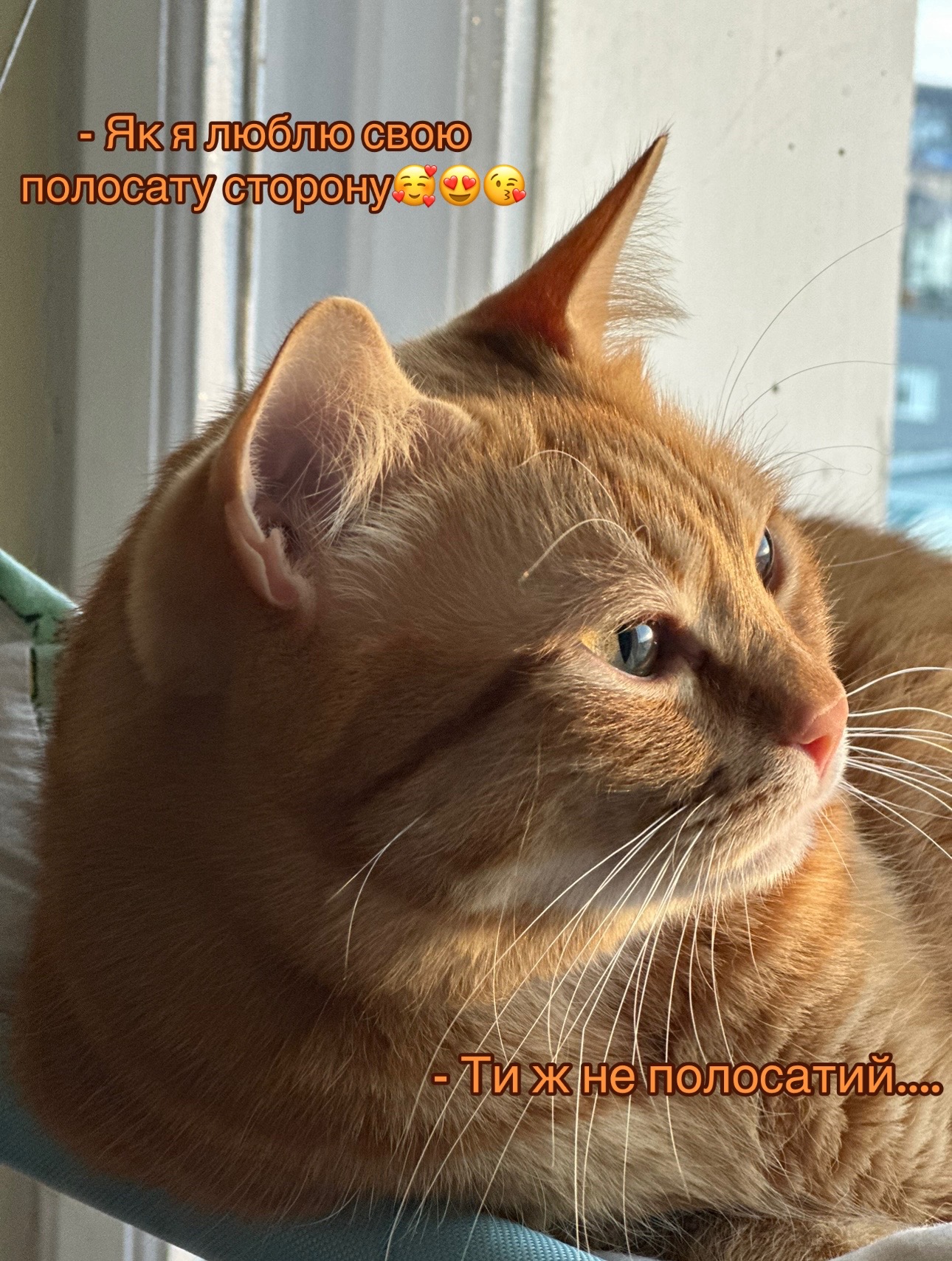 @CaTtoK