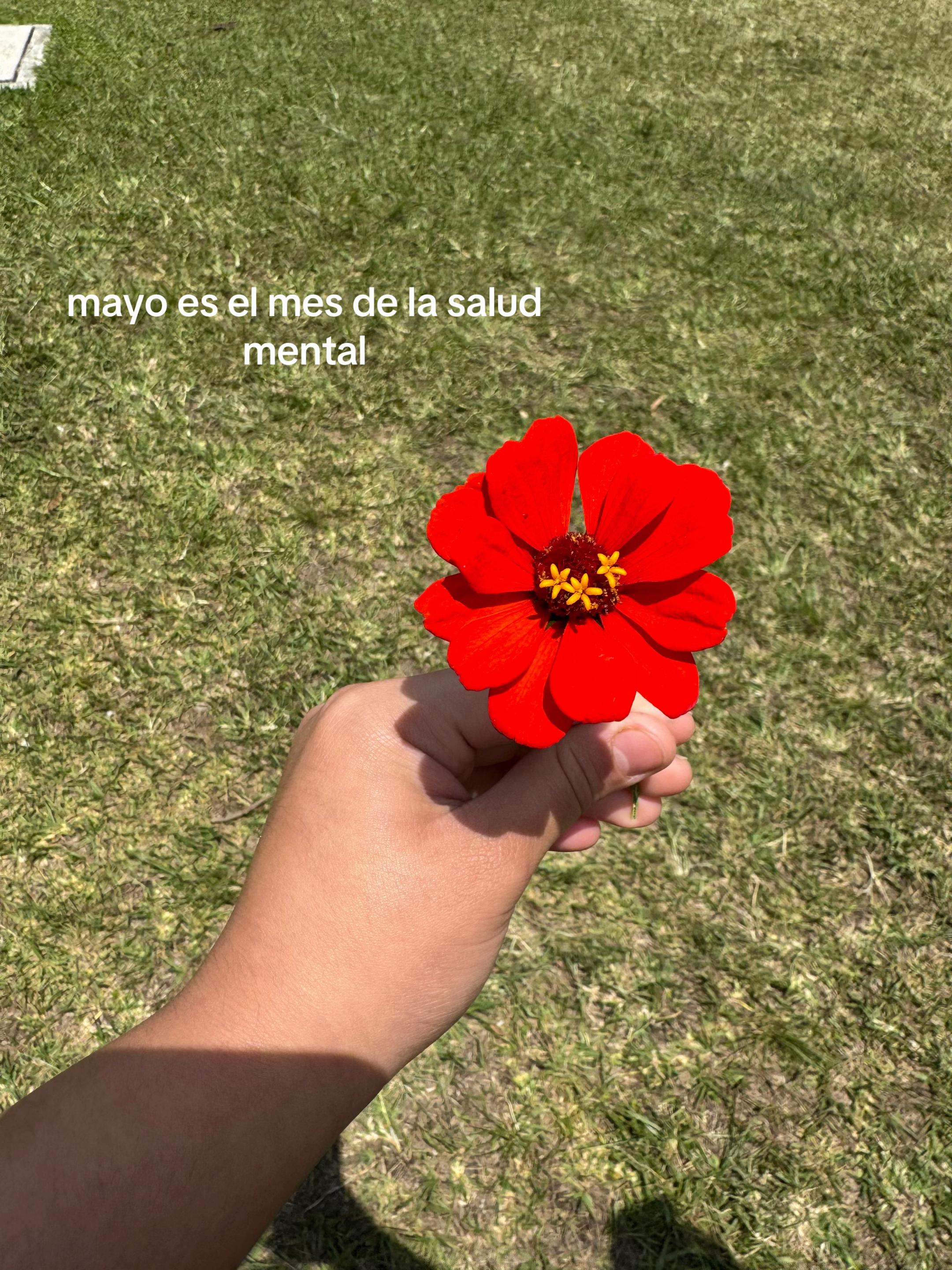 @Mar