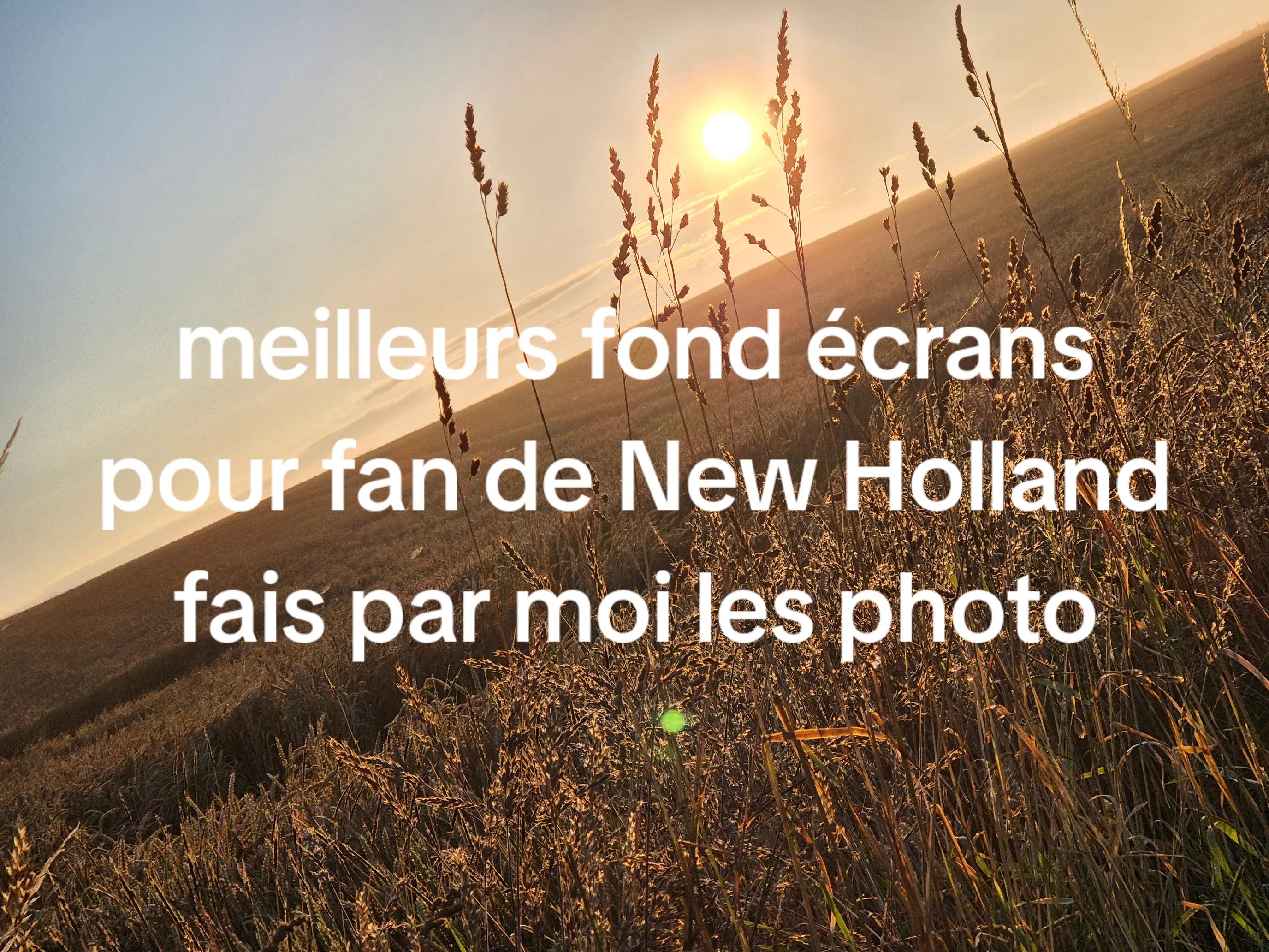@Julien