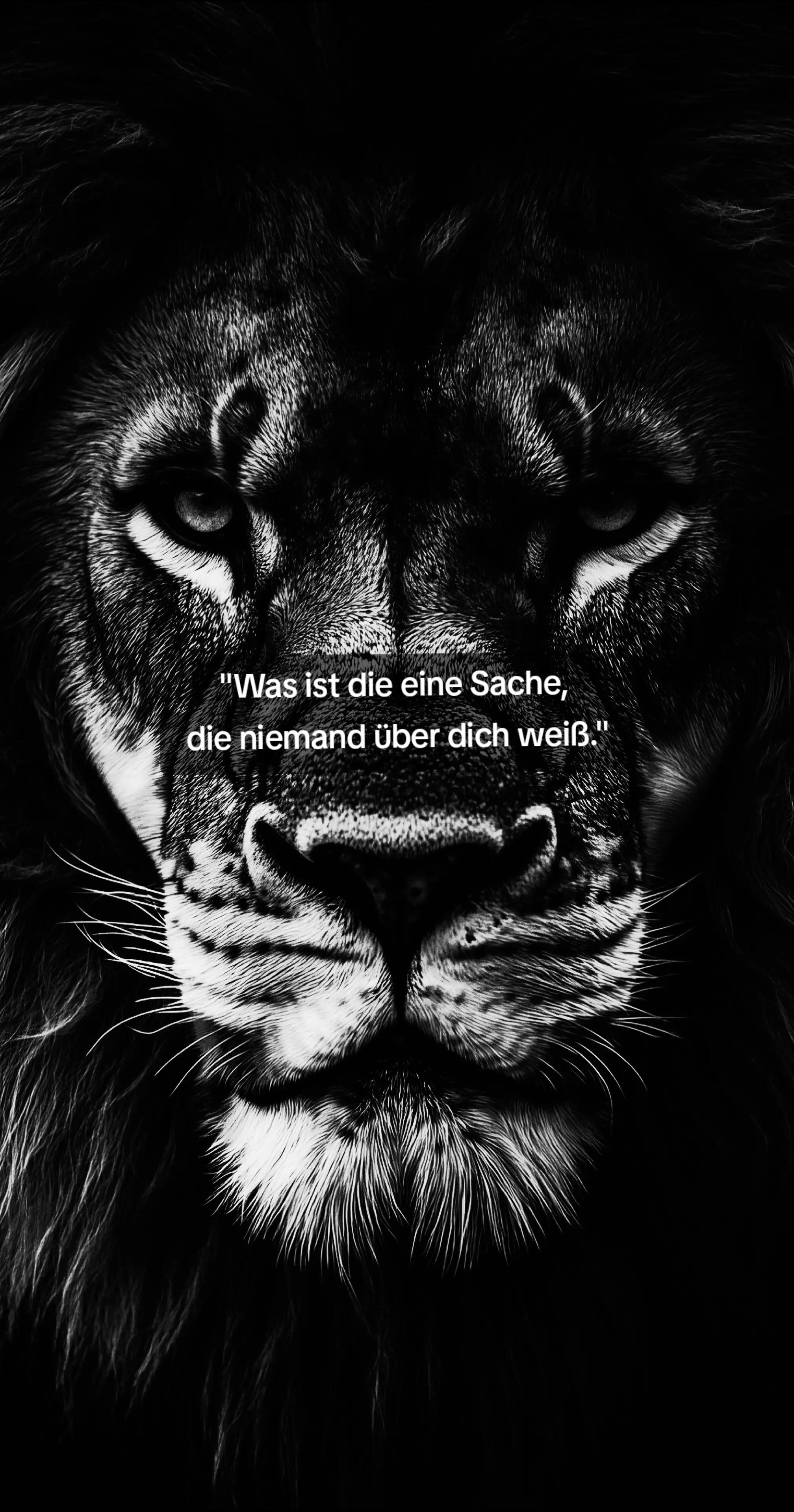 @𝕷𝖎𝖔𝖓-𝖌𝖎𝖗𝖑 🦁