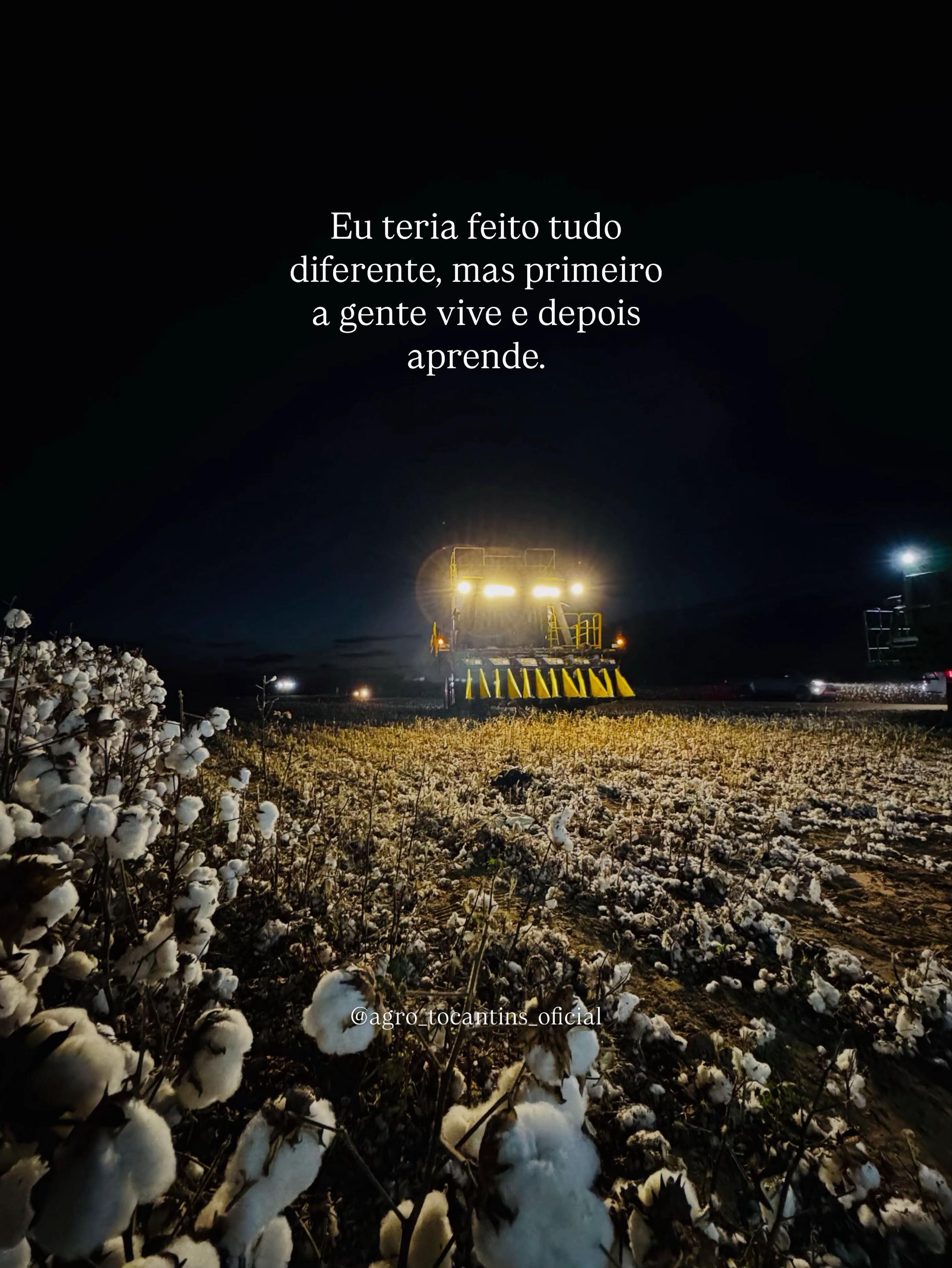 @Agro Tocantins Oficial🇧🇷