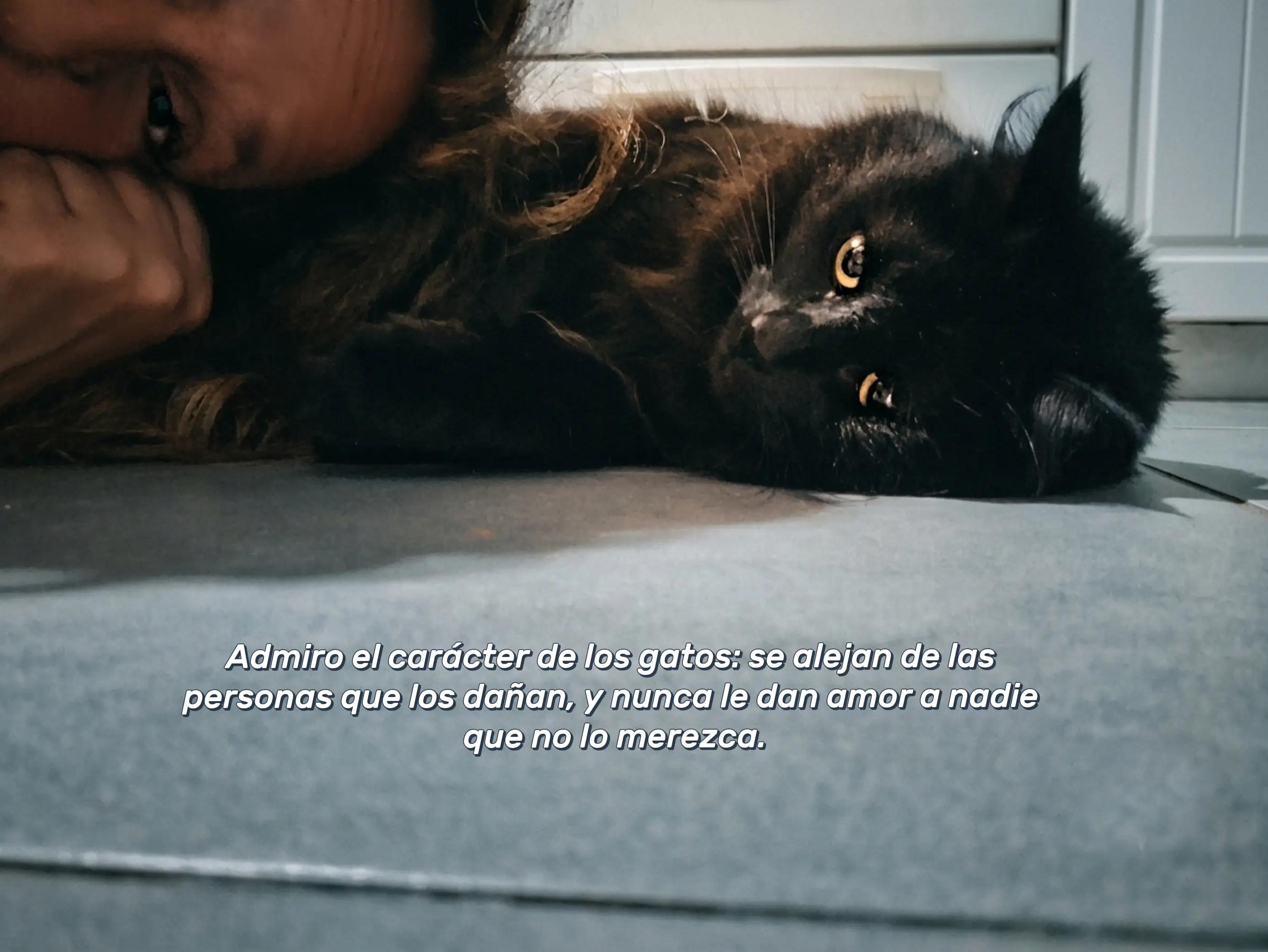 @Kary Maz
