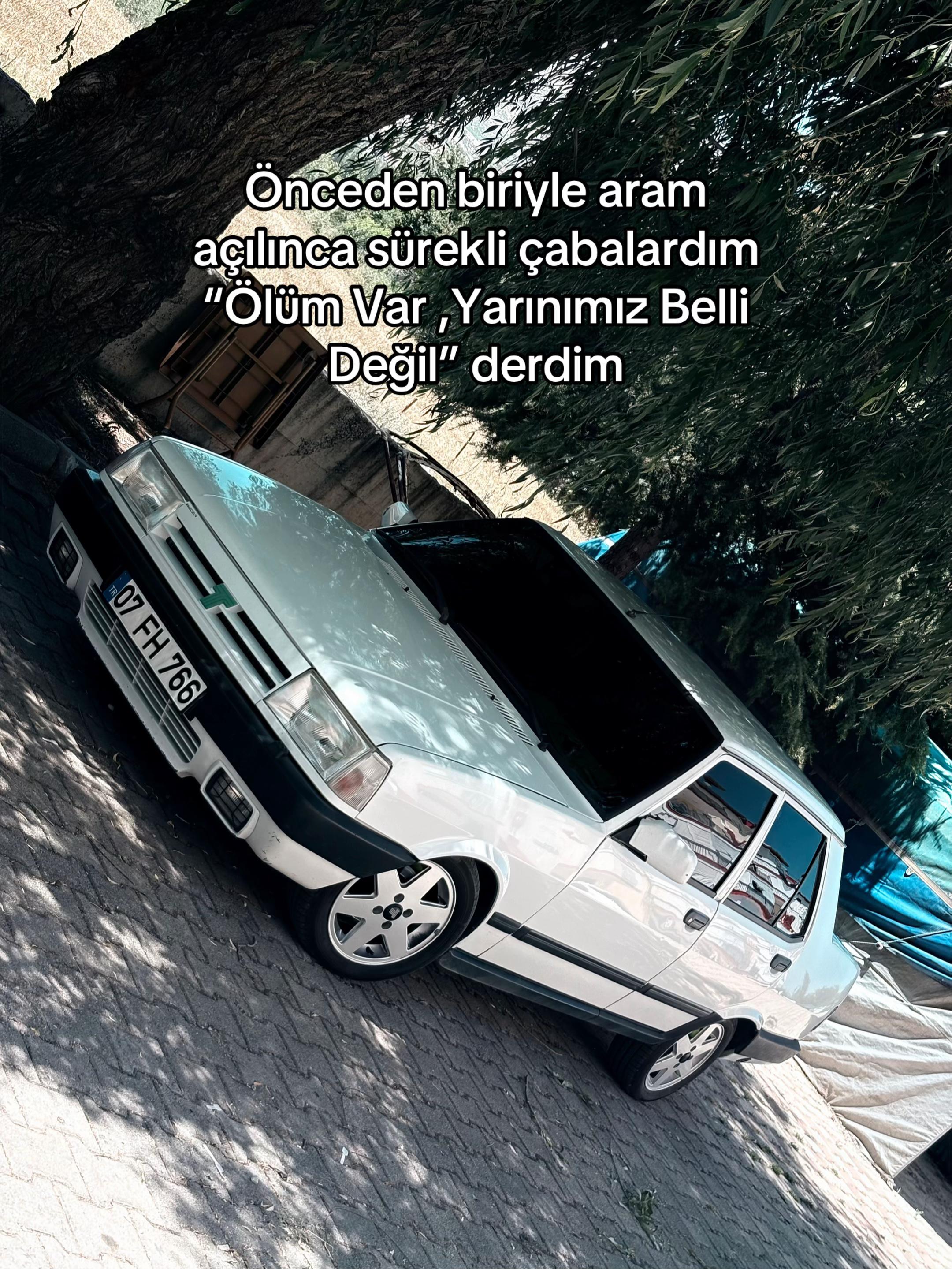 @Sinan🐊