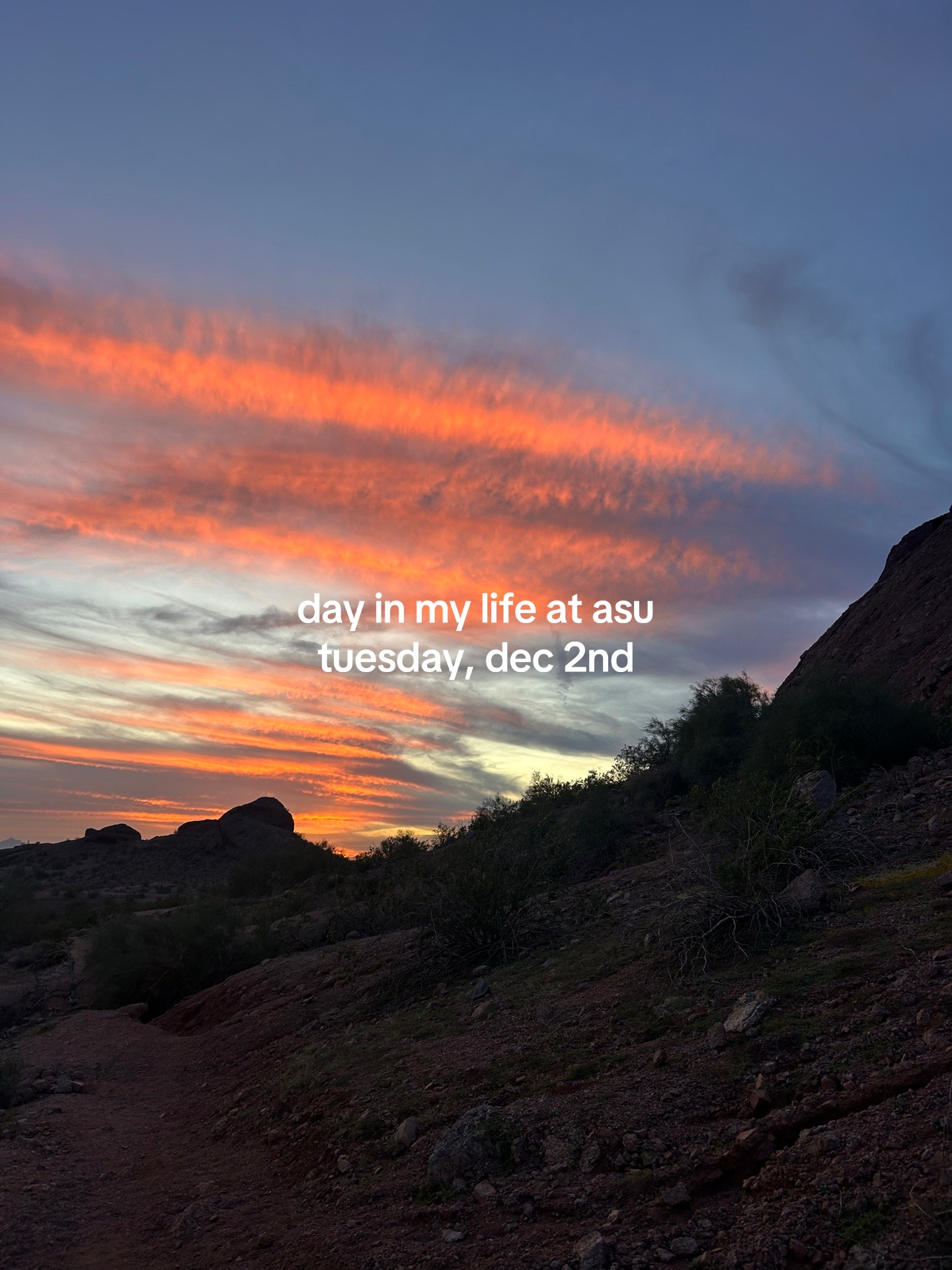 @jane