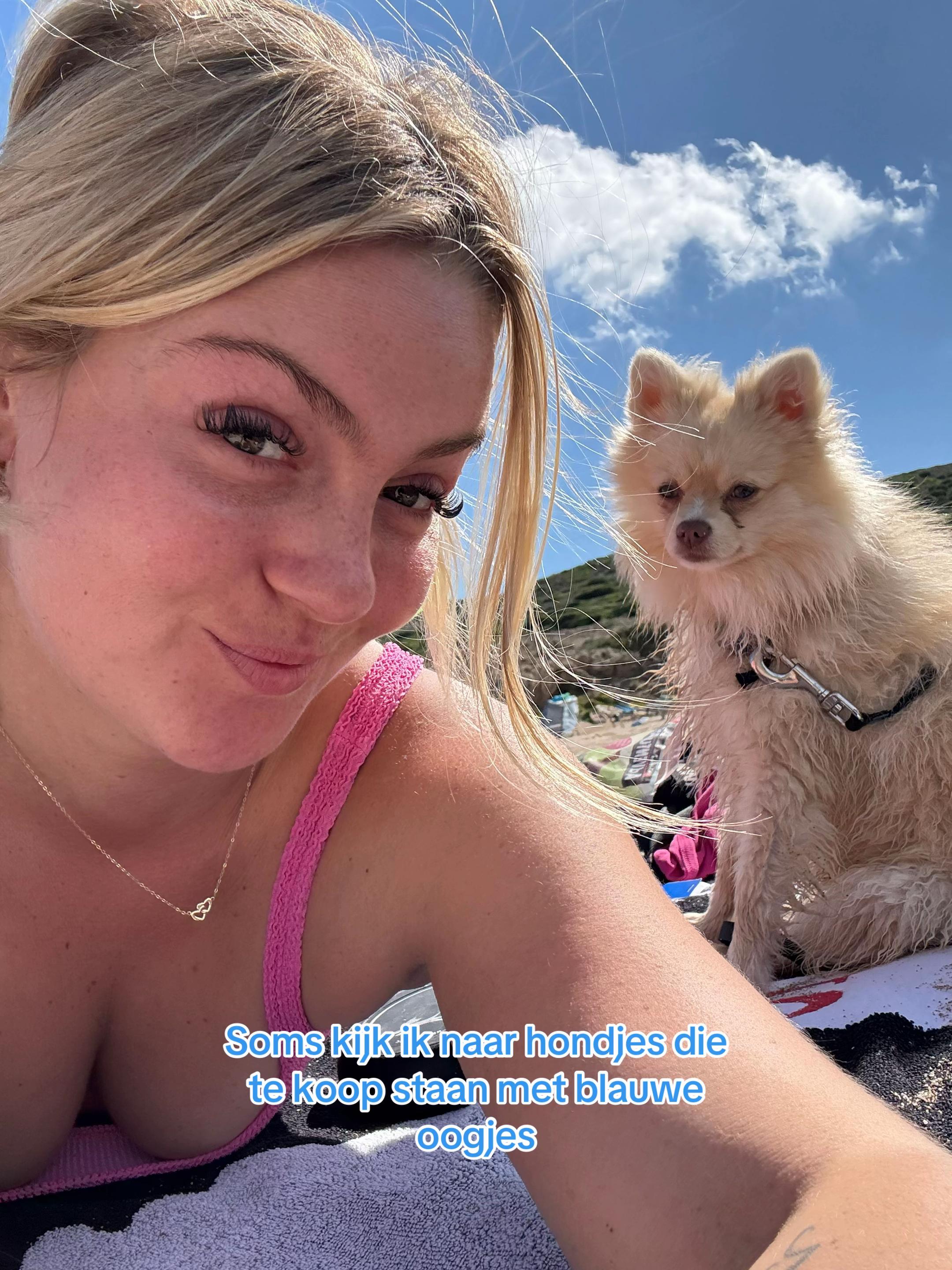 @porschalunaa