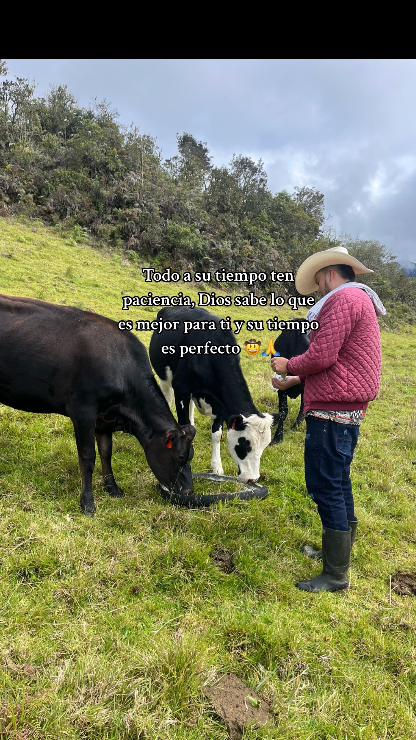 @SHARLY  🤠🐮