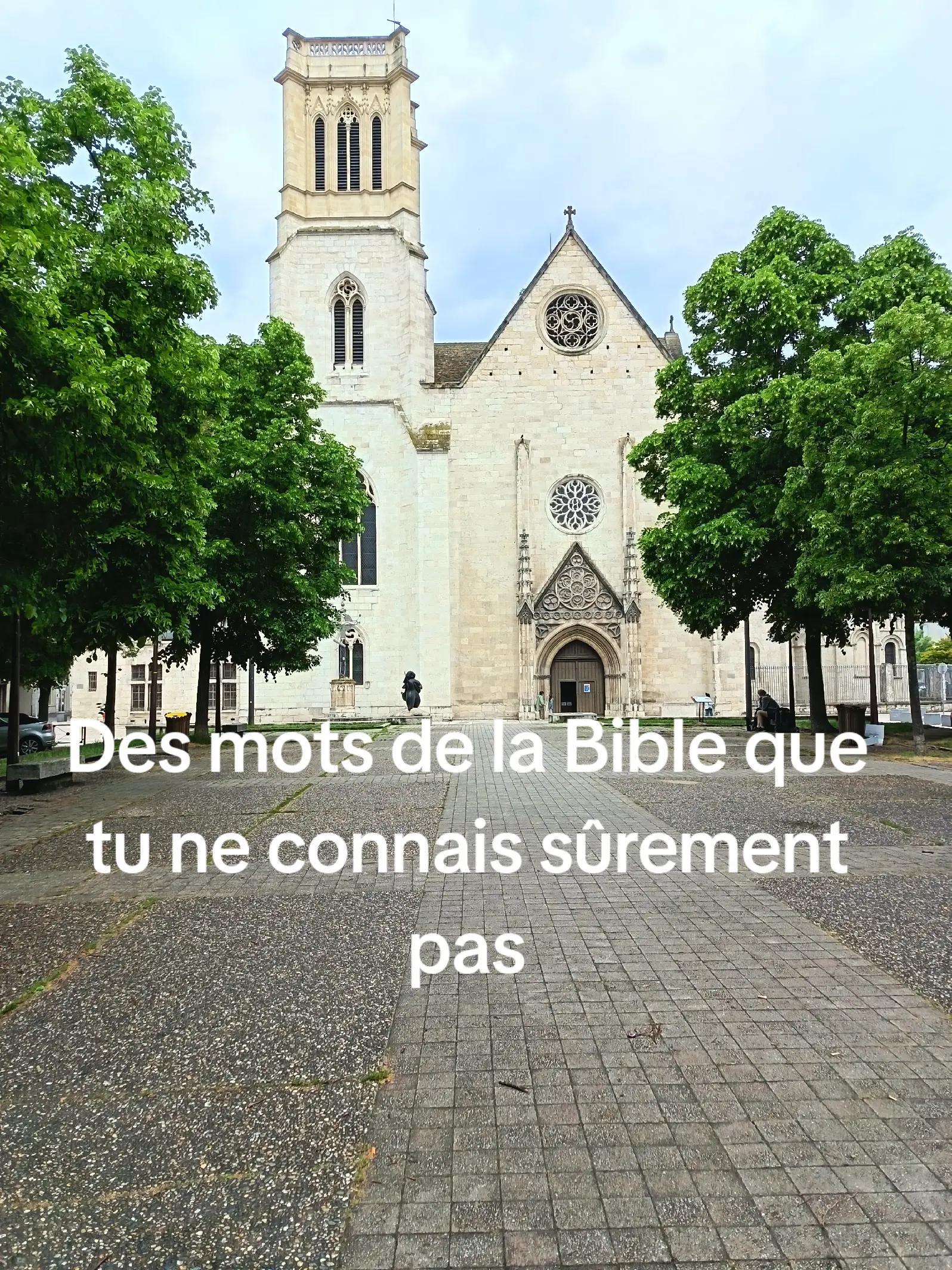 @Les 2 disciples de Jésus