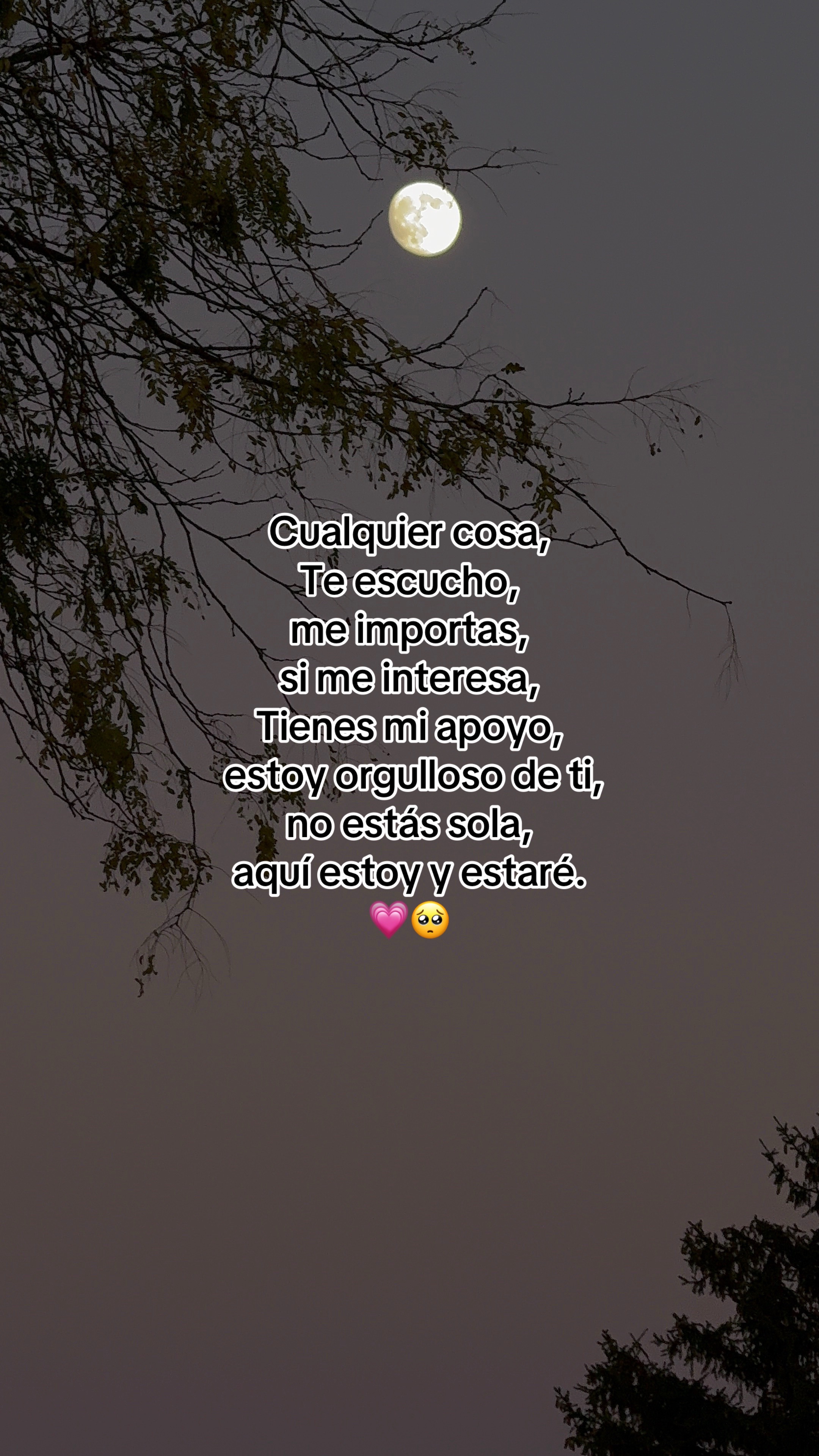 @GUSTAVO.🕸️