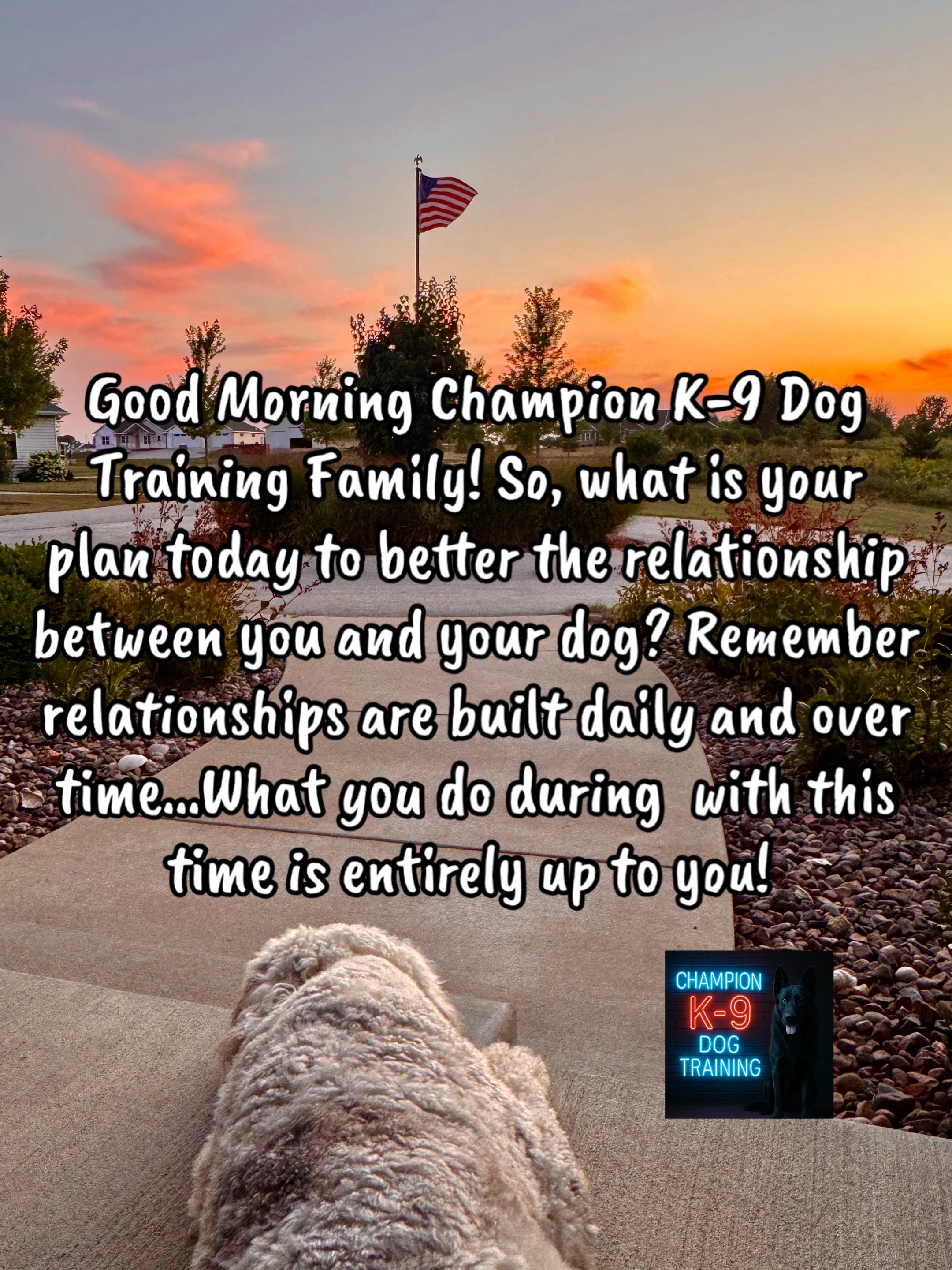 @ChampionK9DogTraining