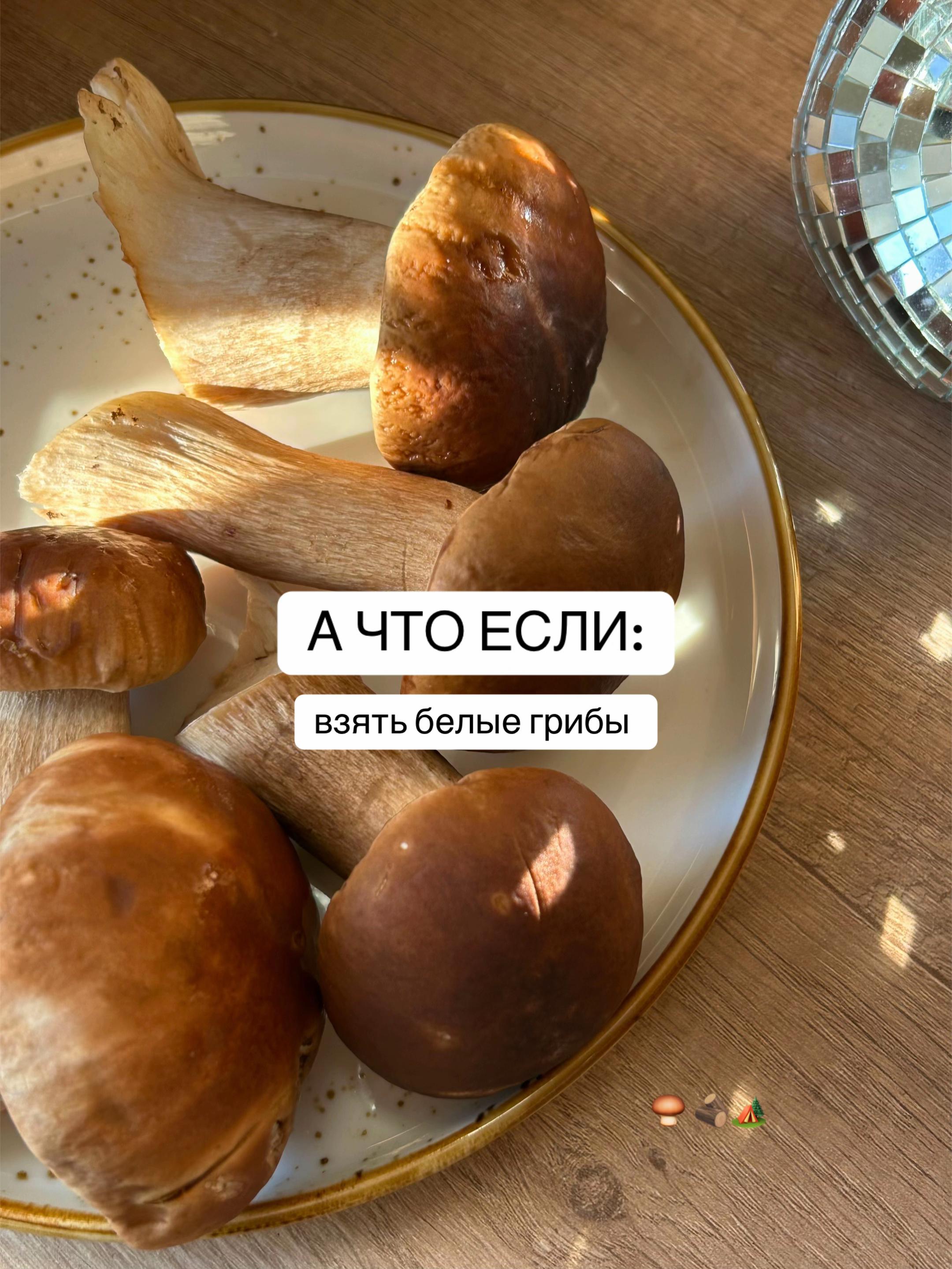 @puzankovaa