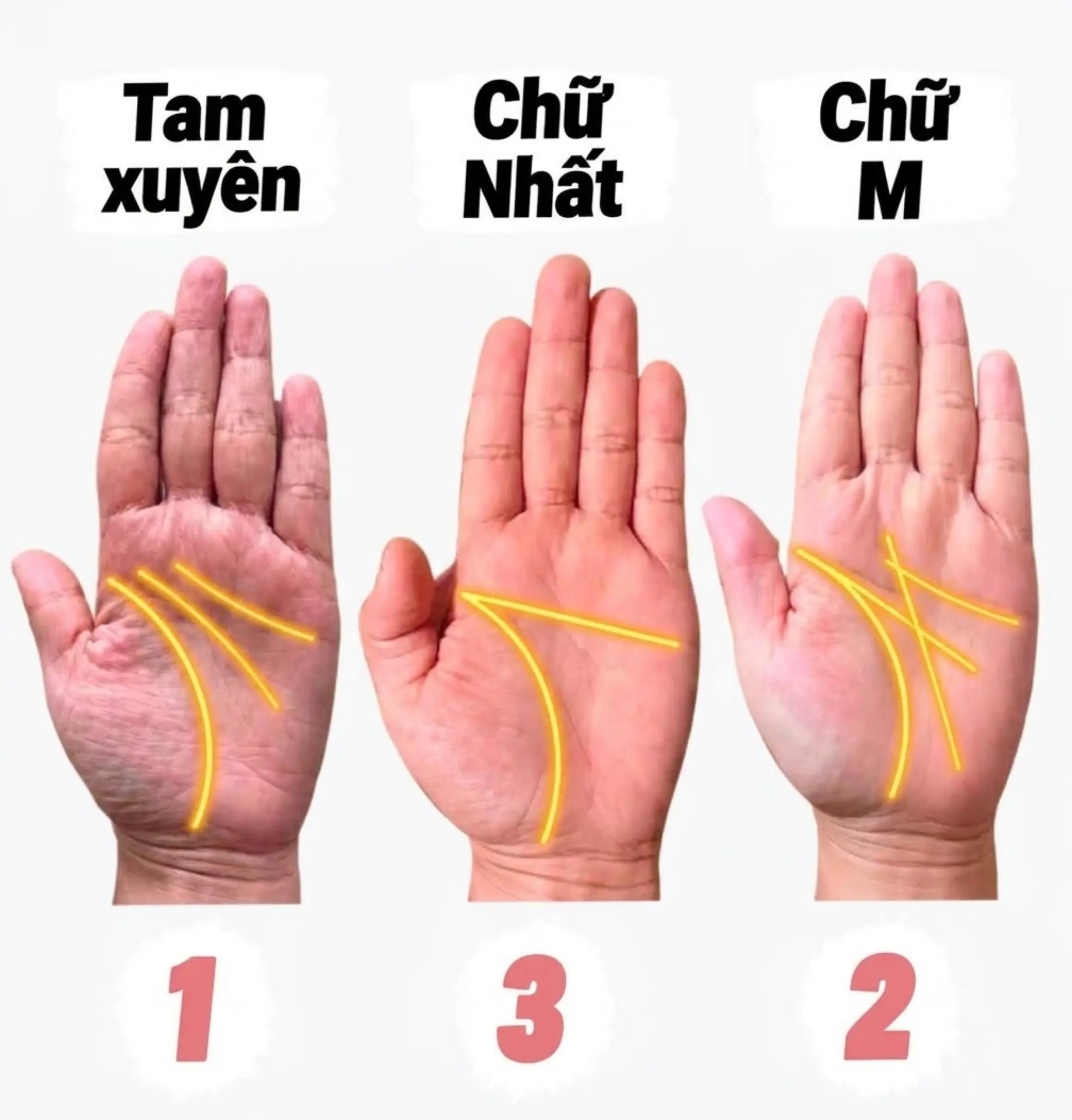 @Nh&acirc;n Tướng Sửa M&igrave;nh (Đỗ L&acirc;m)