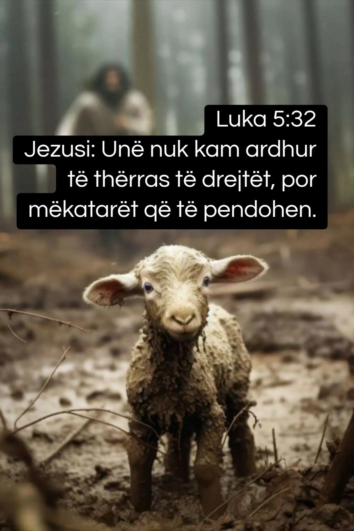 @Bariu i Mir&euml;