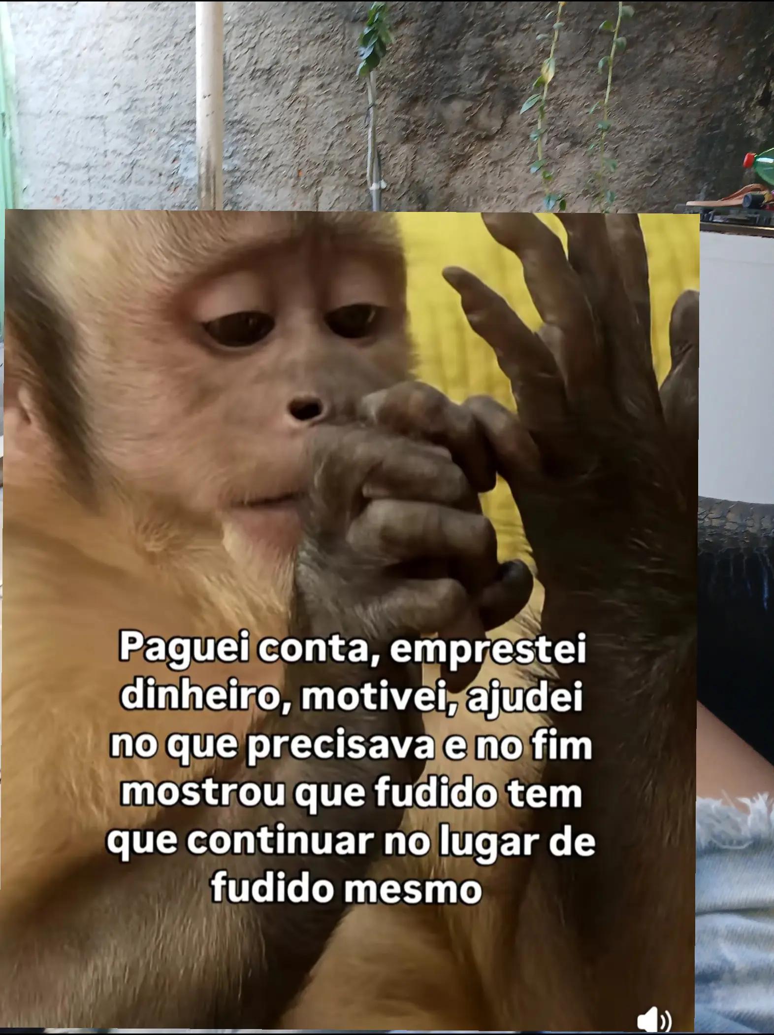 @humor da Célia 🤣