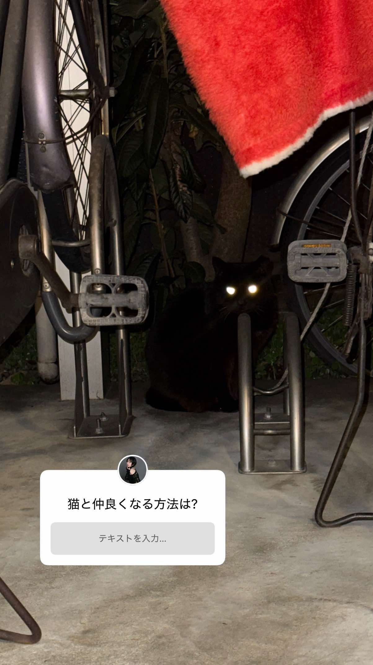 @misato