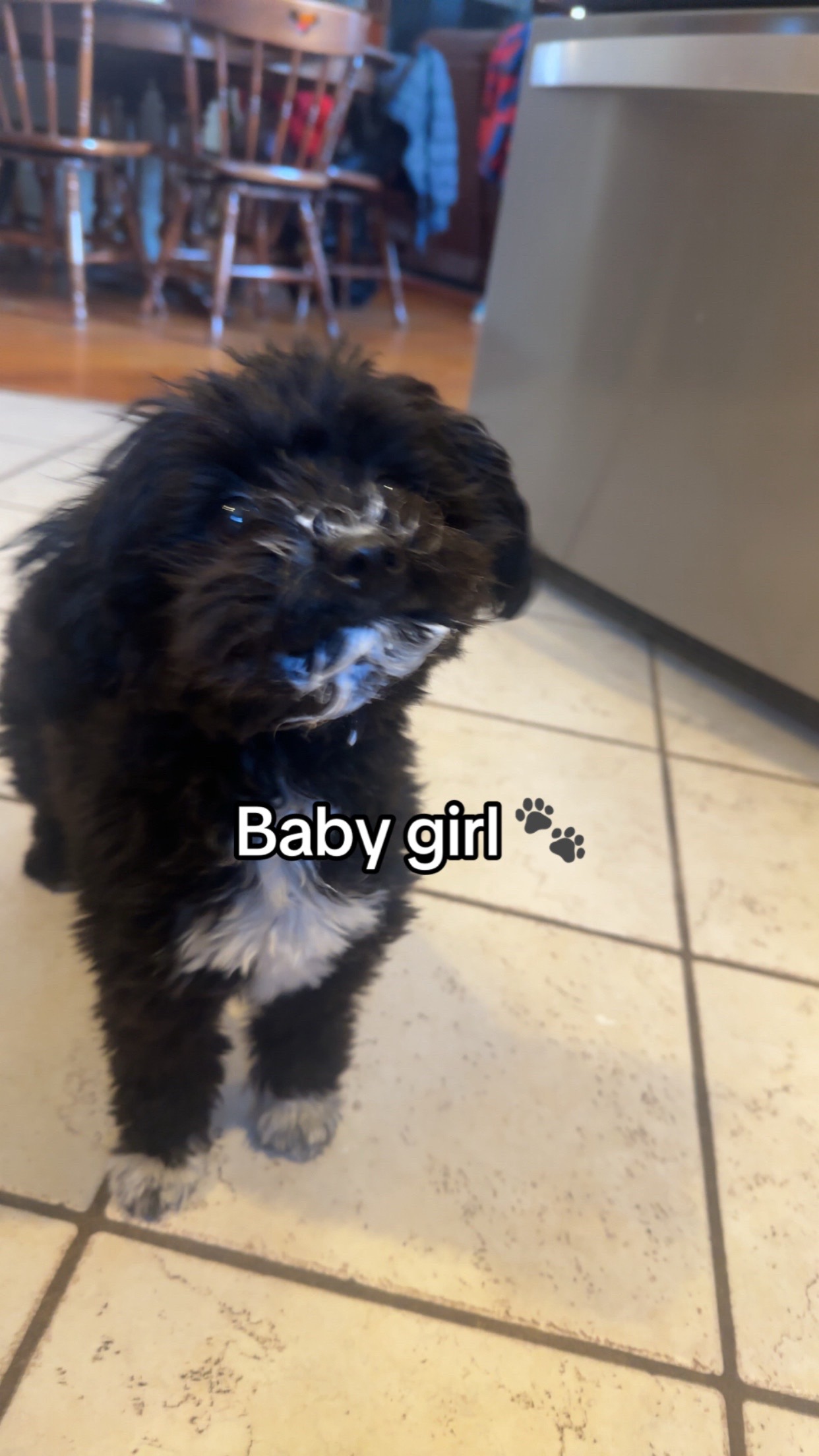 @⋆🐾°𝓚𝓪𝔂𝓫𝓪𝓮🎀⸝꙳.˖