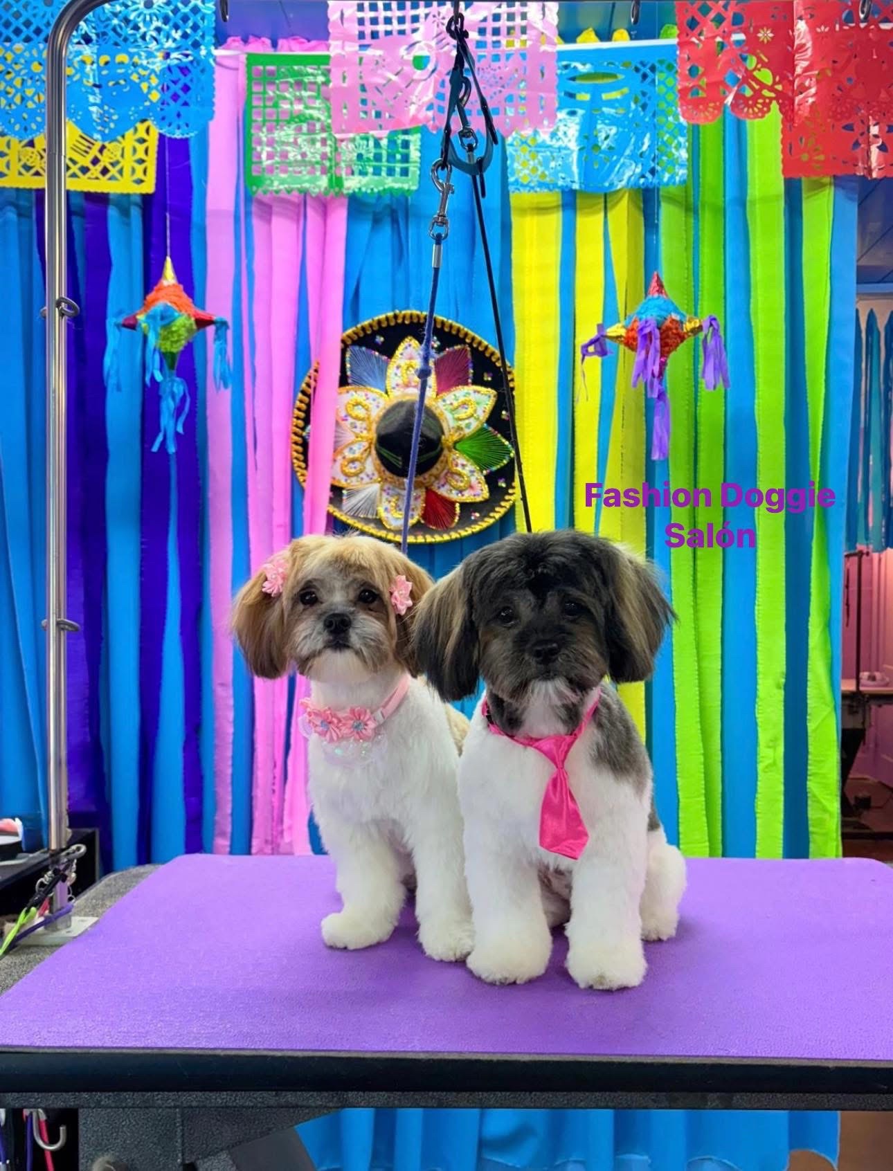 @fashion.doggie.salon