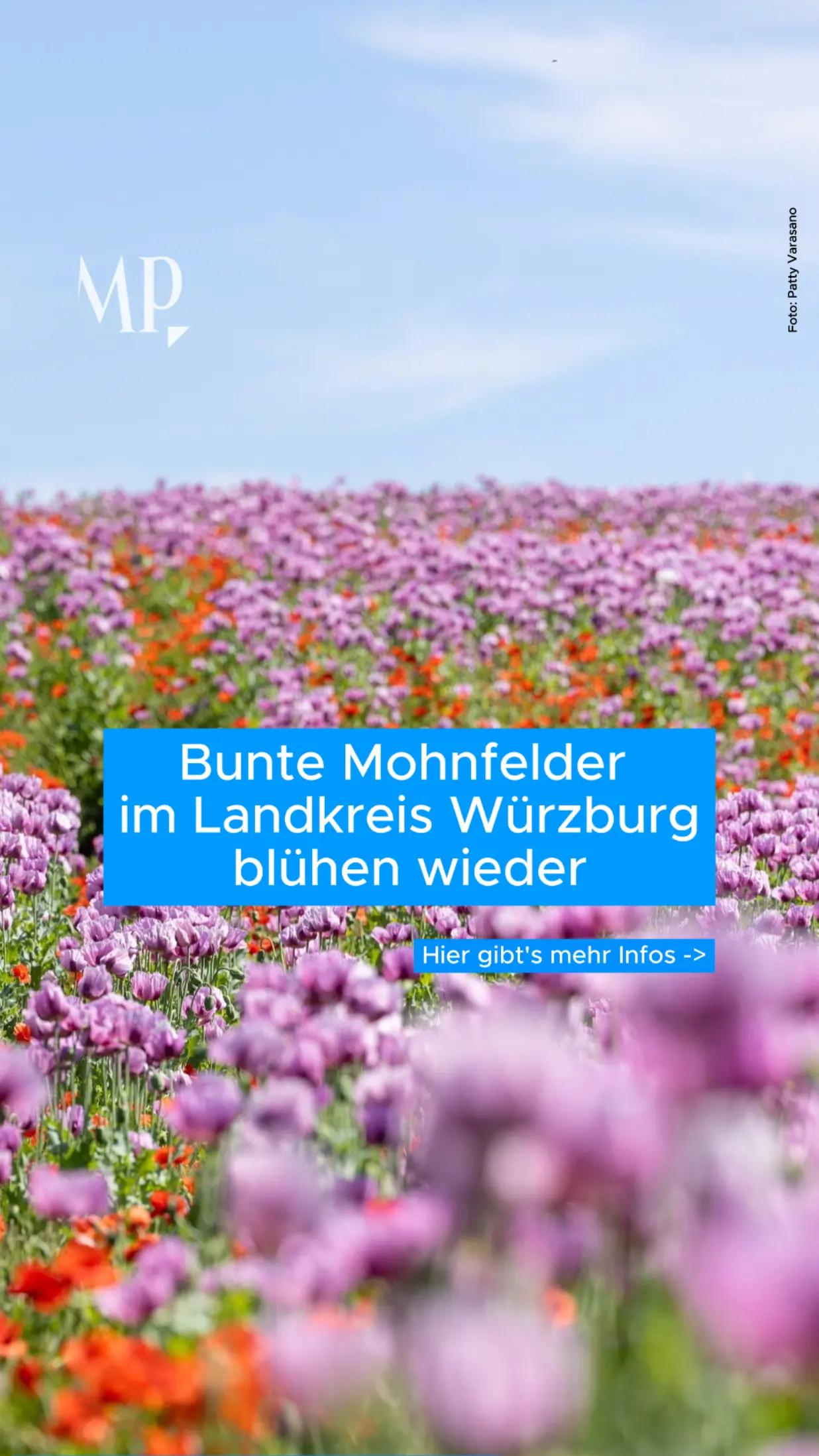 @mainpost.de